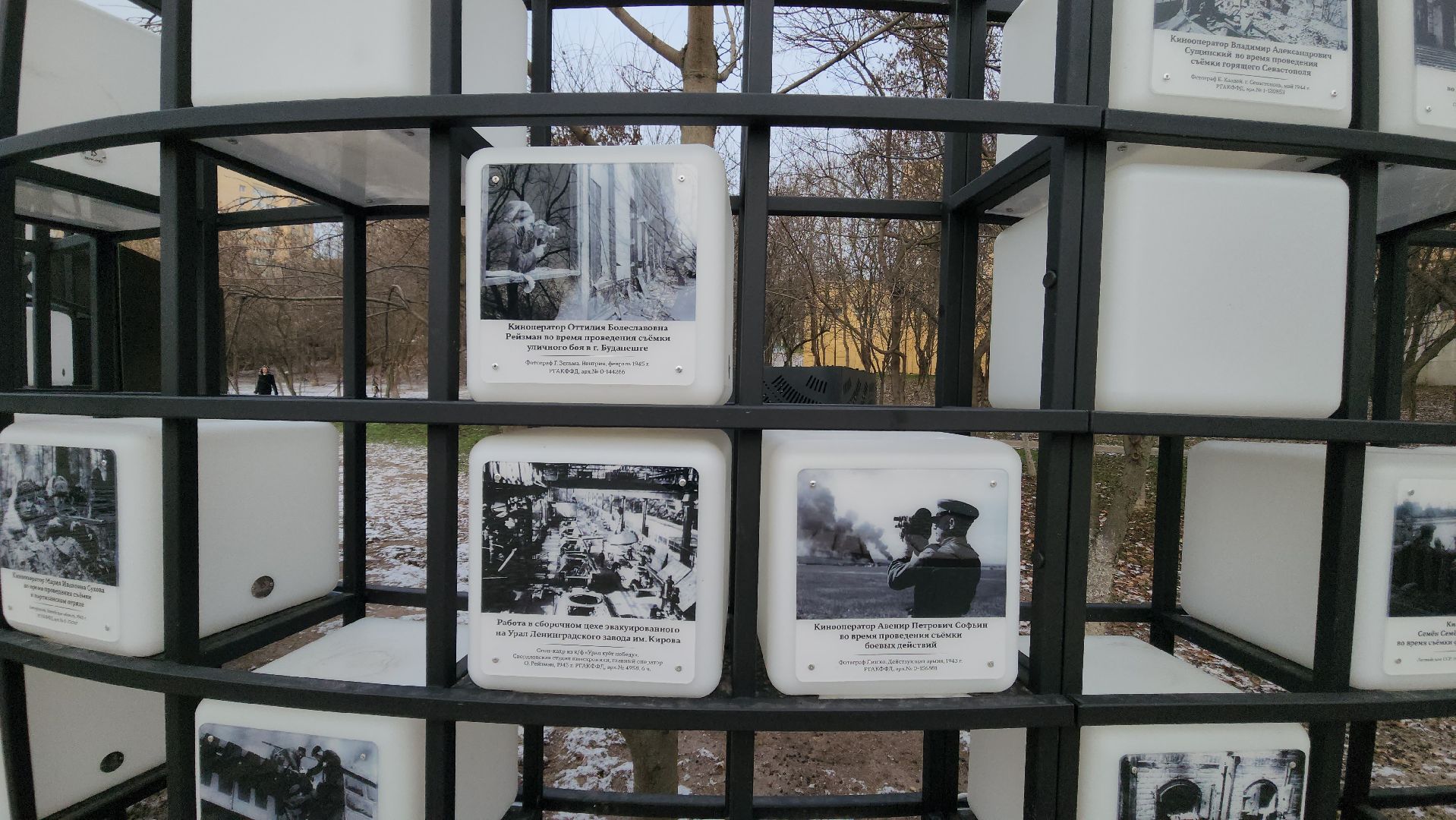 красногорск, яблоневый сквер,