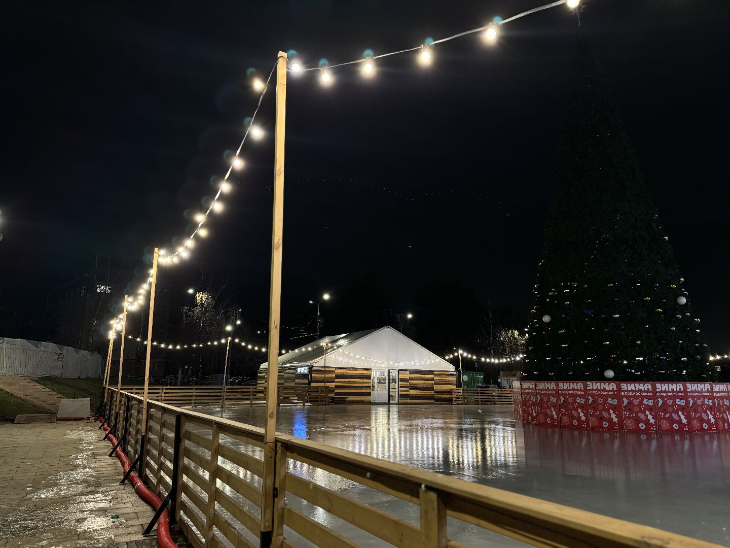 новогодняя елка, ленинский округ, украсили город, зима в подмосковье,