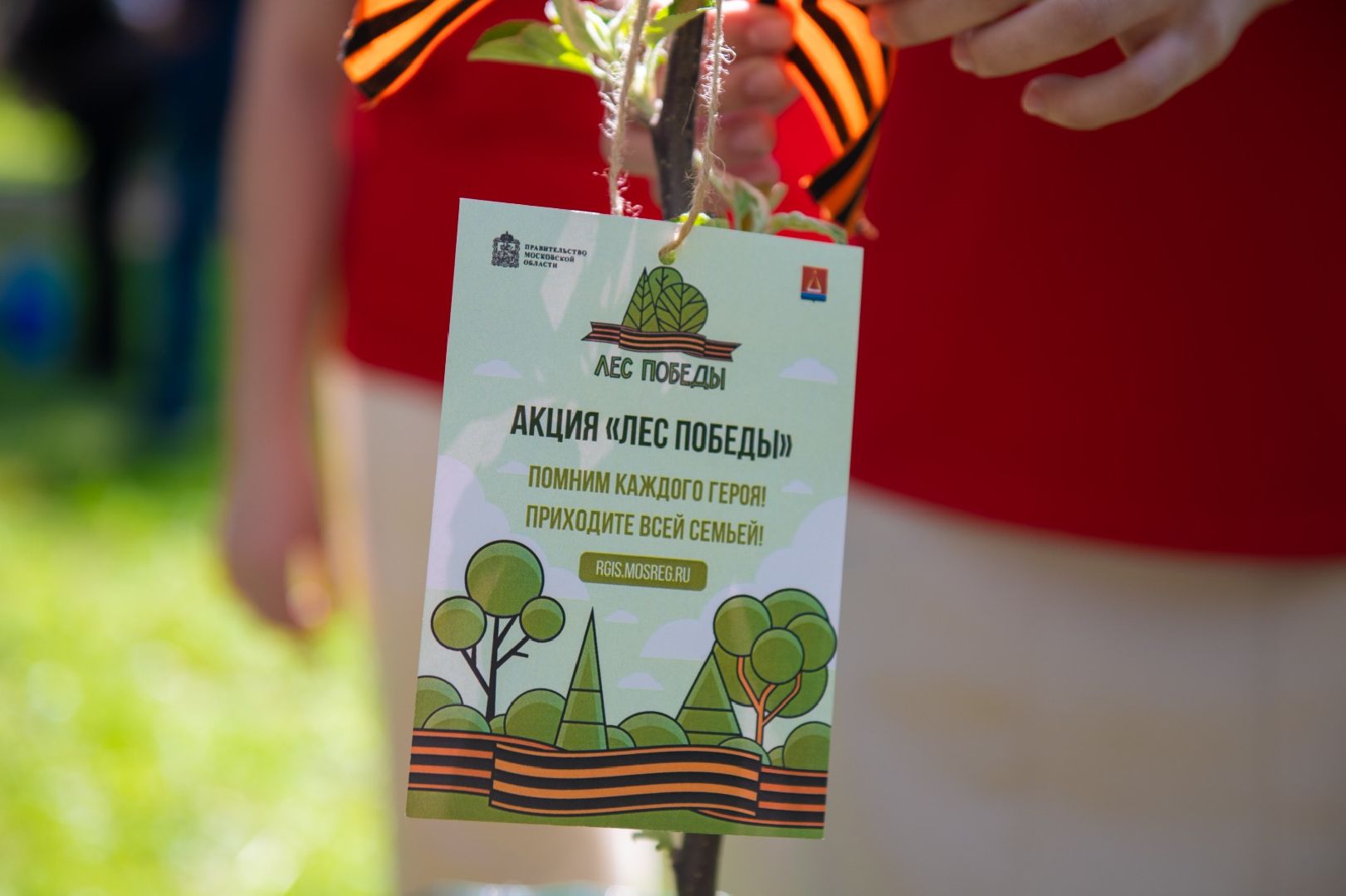 лыткарино, общество, лес победы,