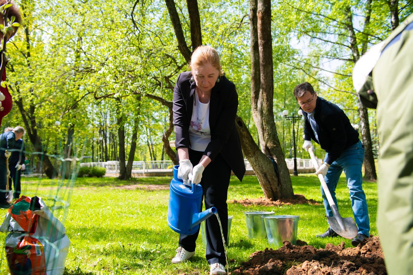 лыткарино, общество, лес победы,