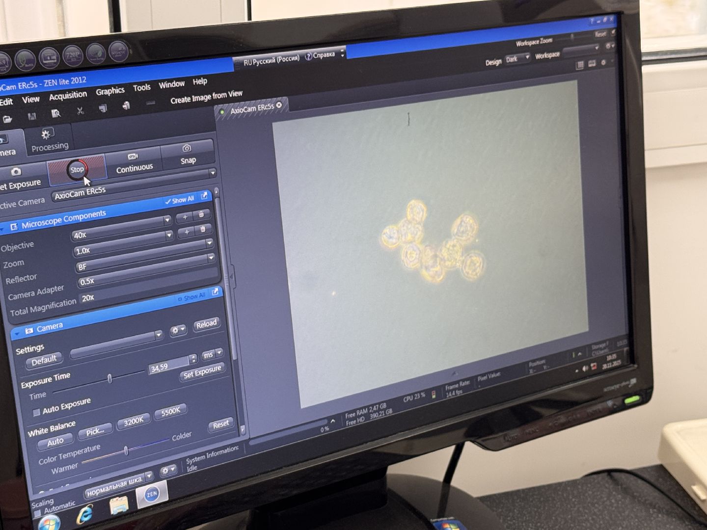 Молодой ученый из Одинцова, премия губернатора московской области, Премия за вклад в науку,