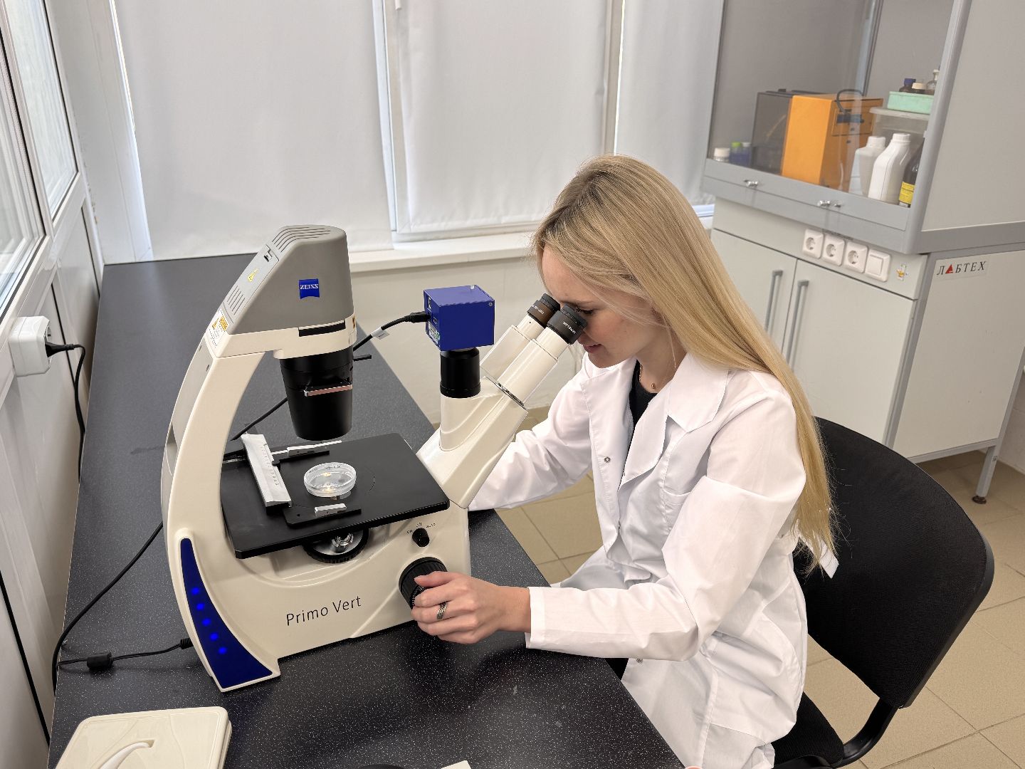 Молодой ученый из Одинцова, премия губернатора московской области, Премия за вклад в науку,