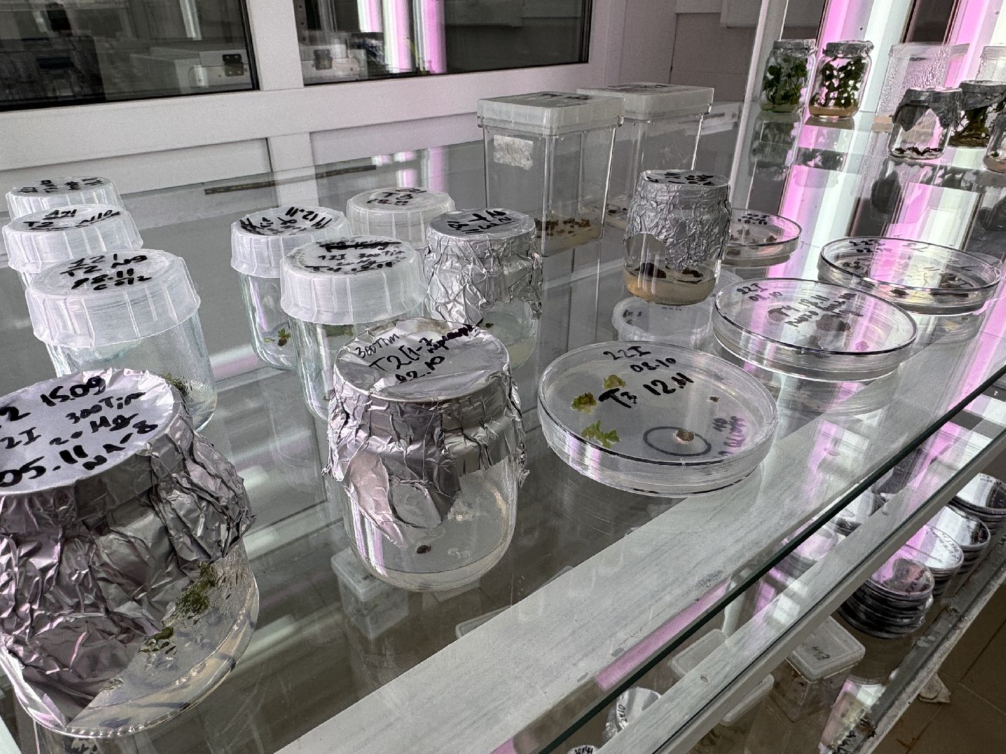 Молодой ученый из Одинцова, премия губернатора московской области, Премия за вклад в науку,