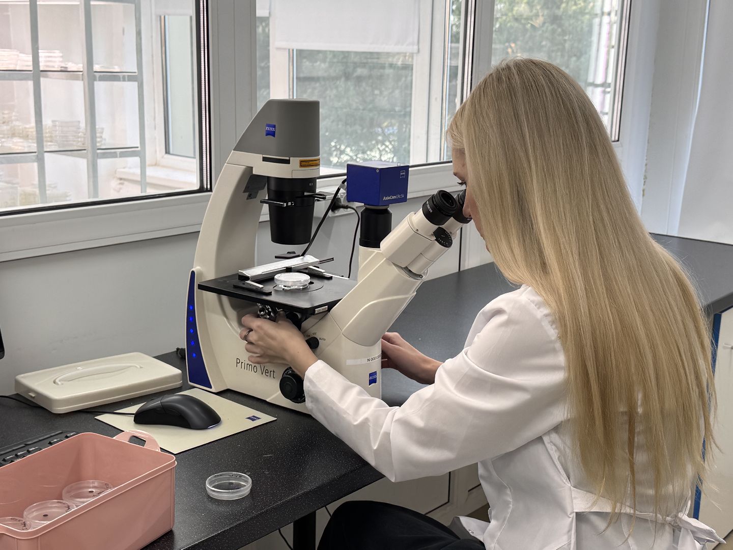 Молодой ученый из Одинцова, премия губернатора московской области, Премия за вклад в науку,