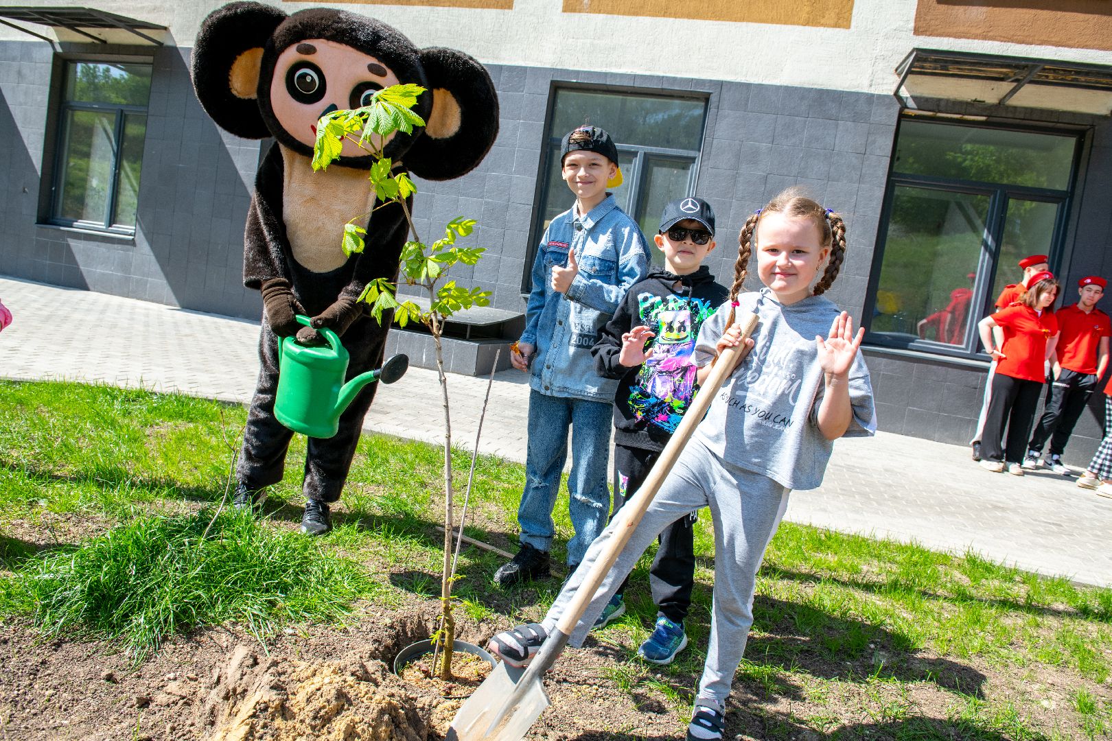 лыткарино, общество, лес победы,