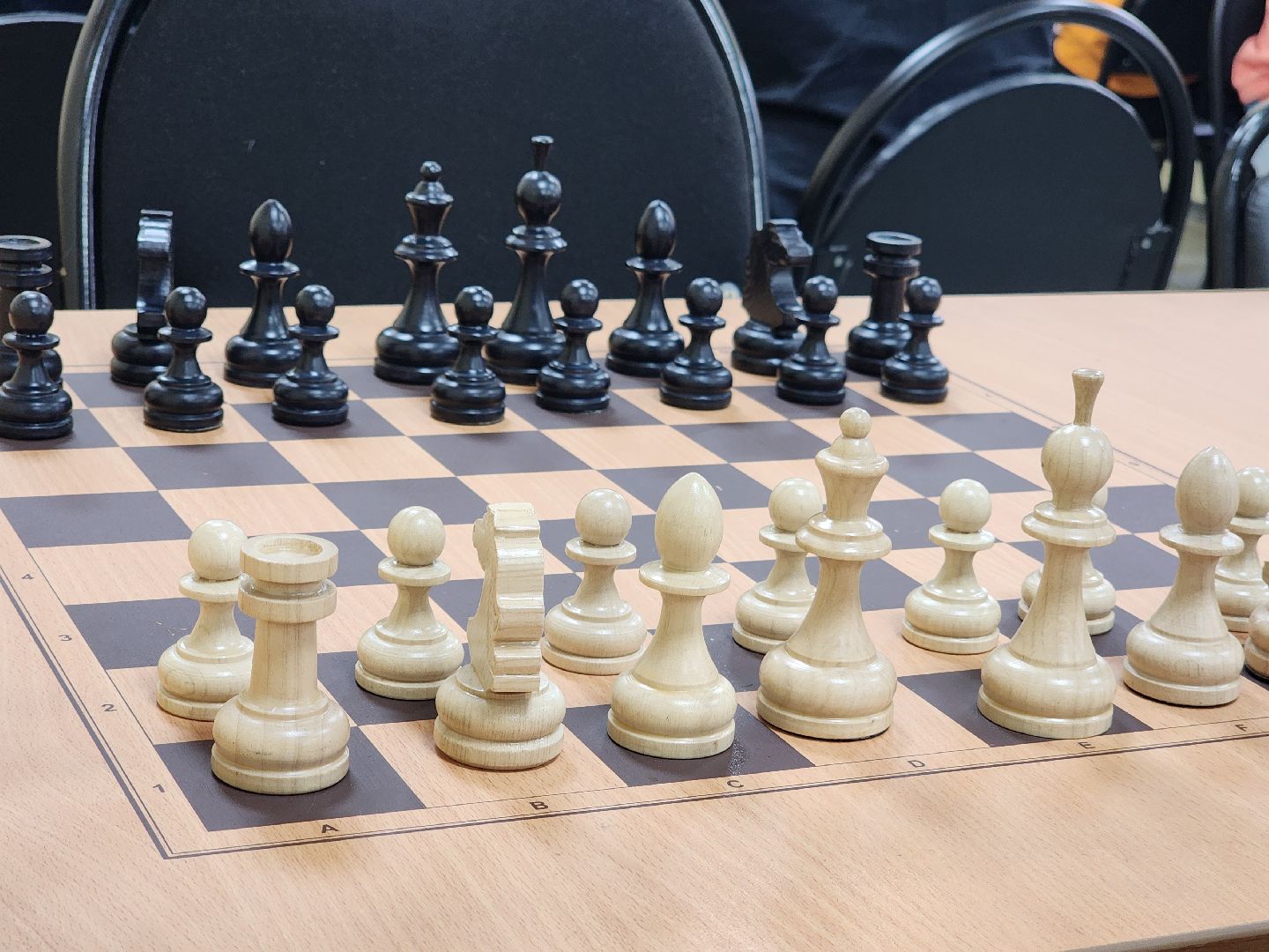 Подольск , Первенство по шахматам, турнир, ск труд,