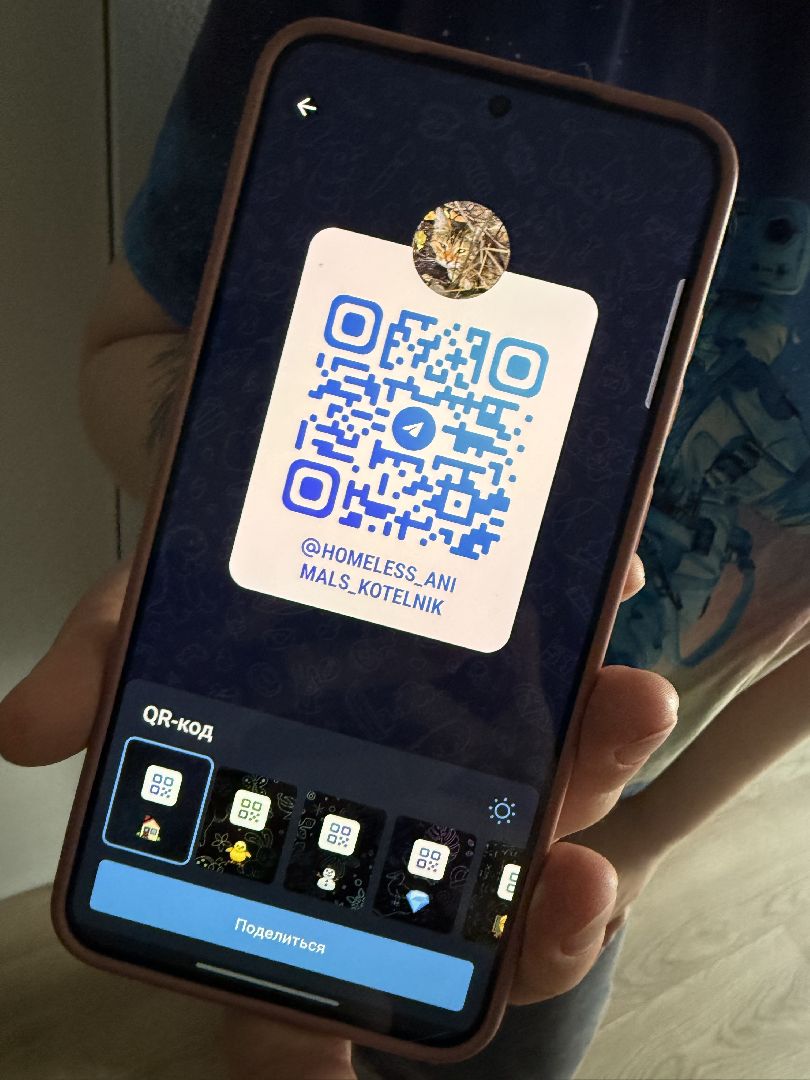 Котельники, Животные, Кошки, Зима, Помощь ,