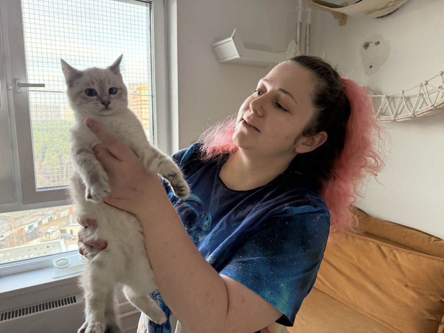 Котельники, Животные, Кошки, Зима, Помощь ,