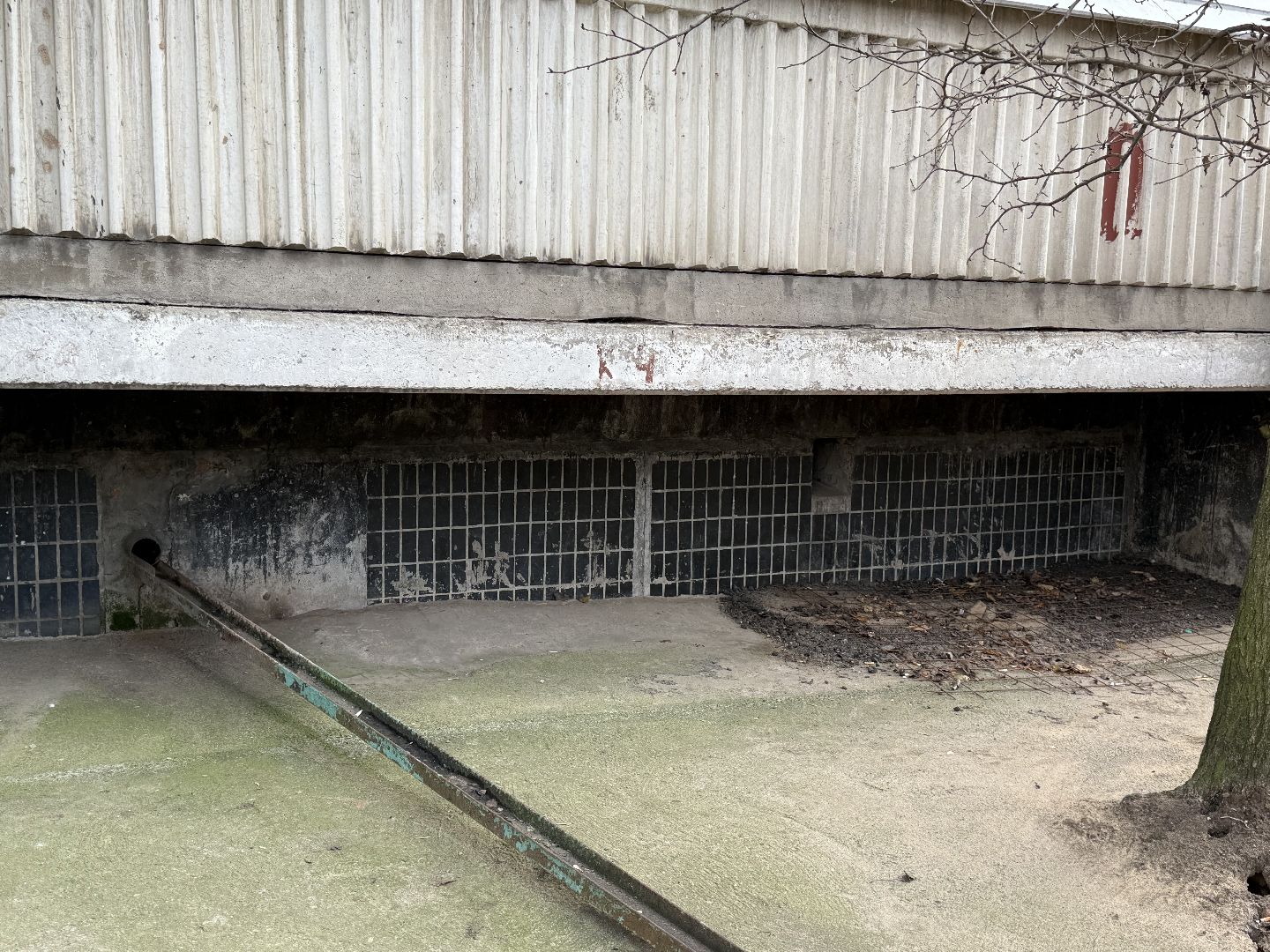 Котельники, Животные, Кошки, Зима, Помощь ,