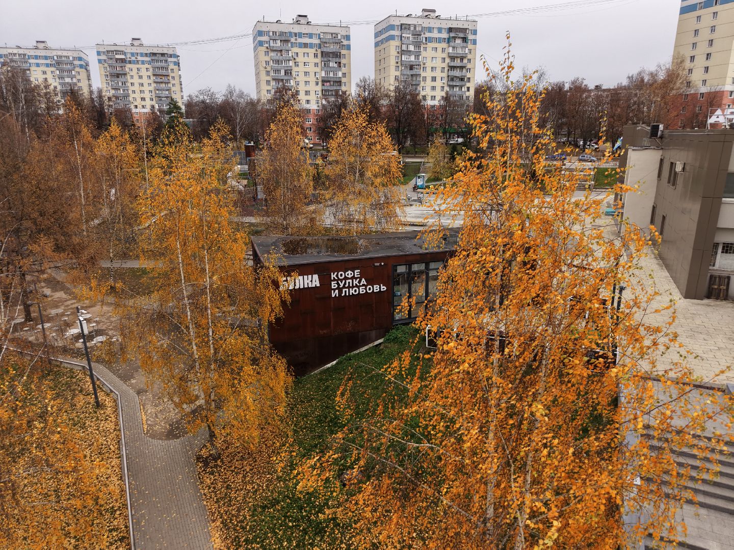 видео с коптера, каток в видном, зима в подмосковье,