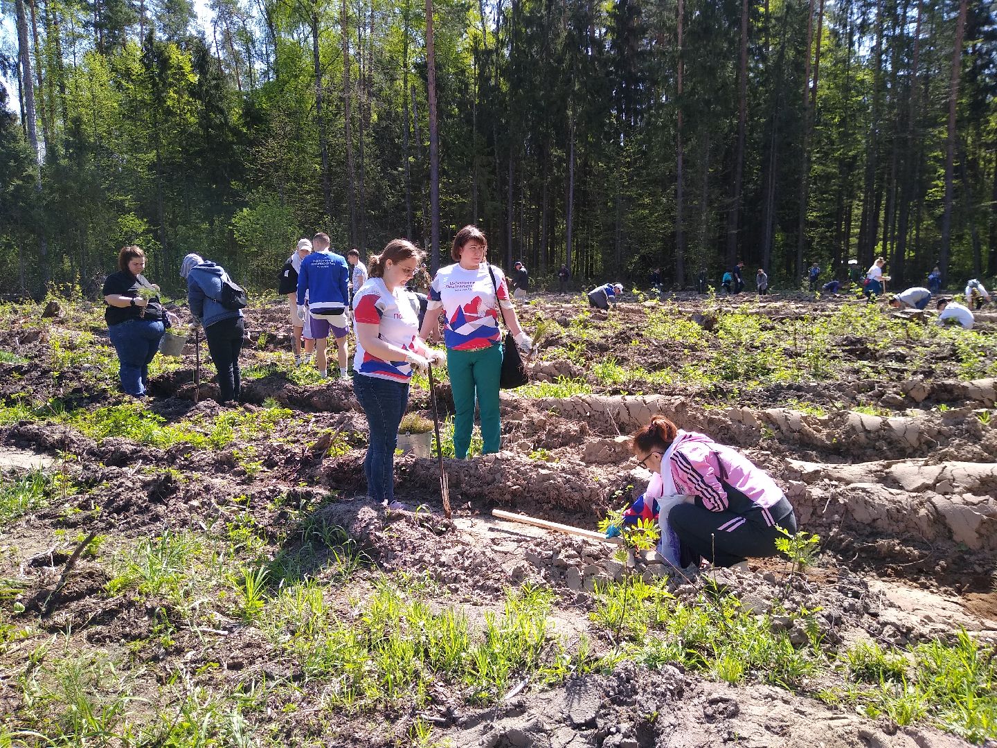 Раменское, Лес Победы 2023, центральная площадка, Кратово