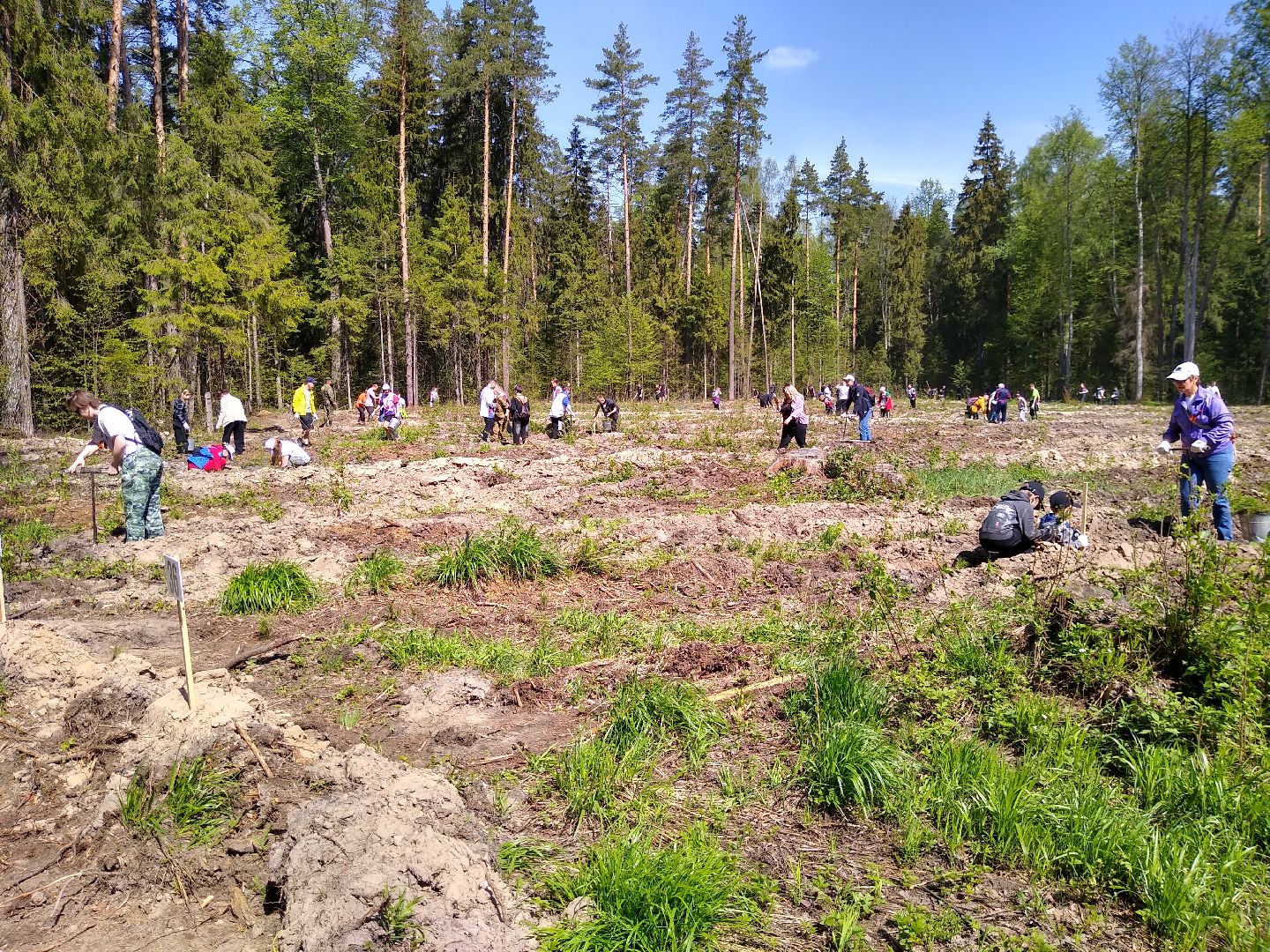 Раменское, Лес Победы 2023, центральная площадка, Кратово