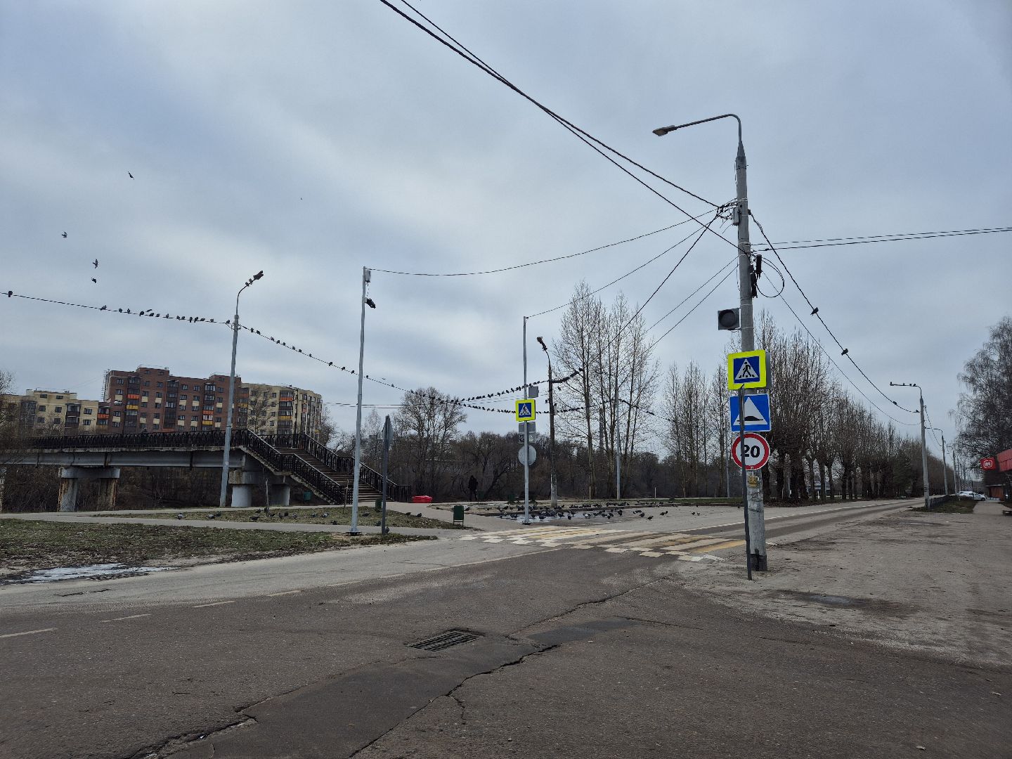 проекционная разметка, пешеходный переход, орехово-зуево,