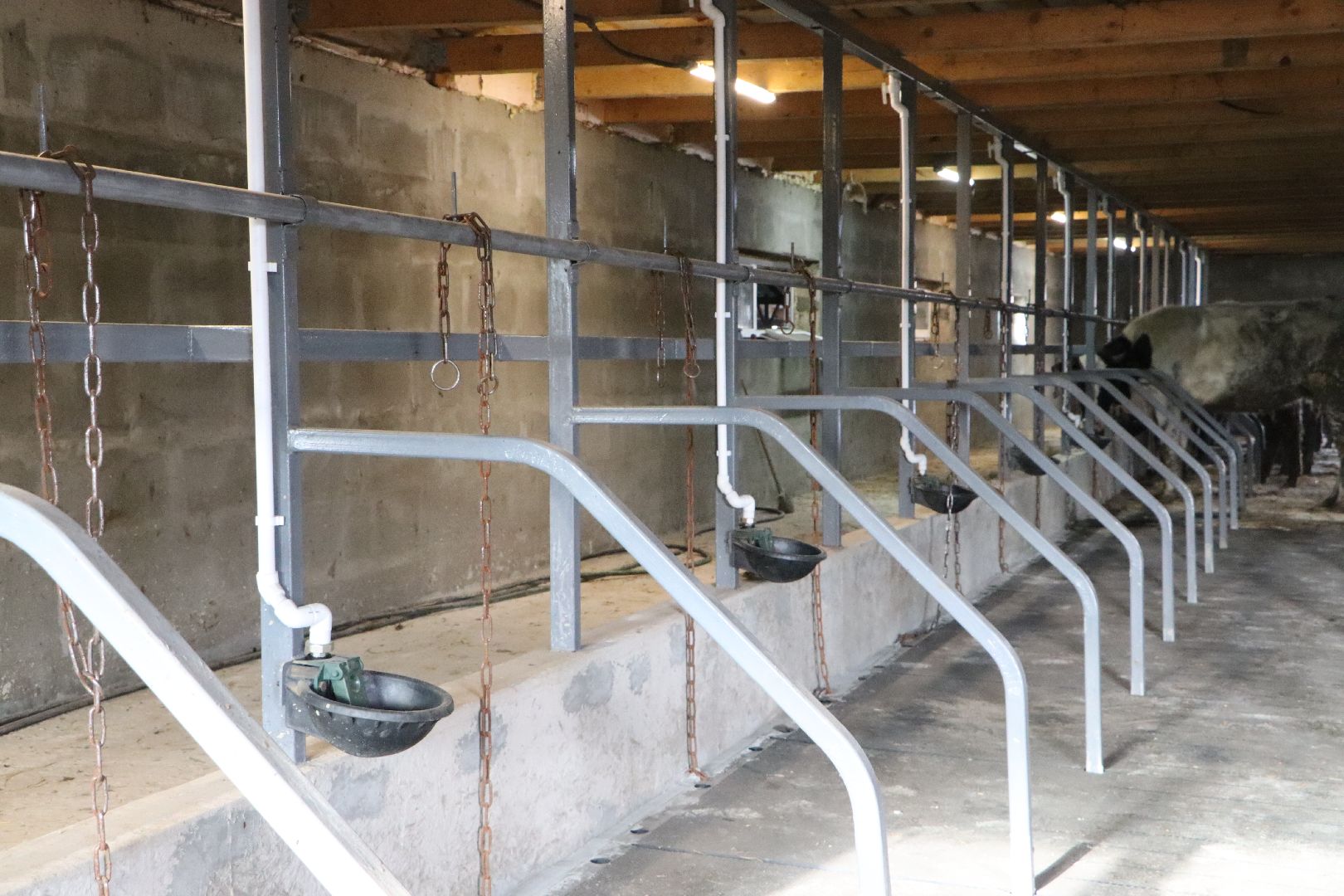 серебряные пруды, минсельхоз мо, КФХ, грант, агростартап,