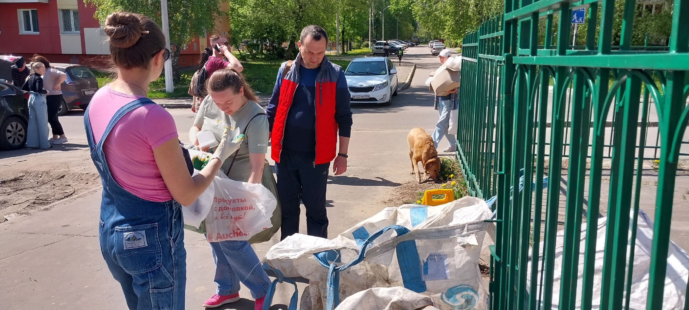 коломна, раздельный сбор, экология