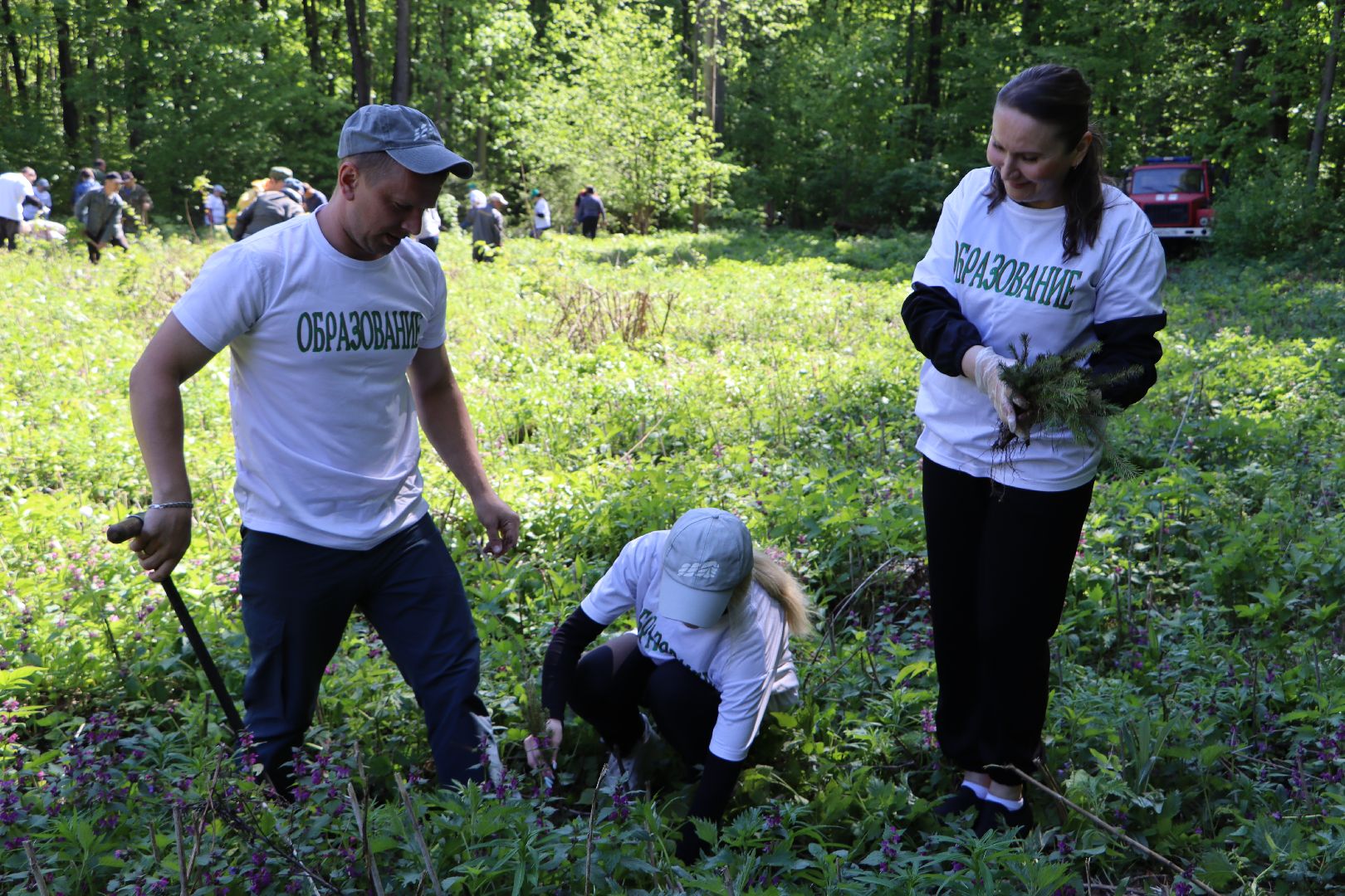 Серебряные Пруды, Лес Победы, акция