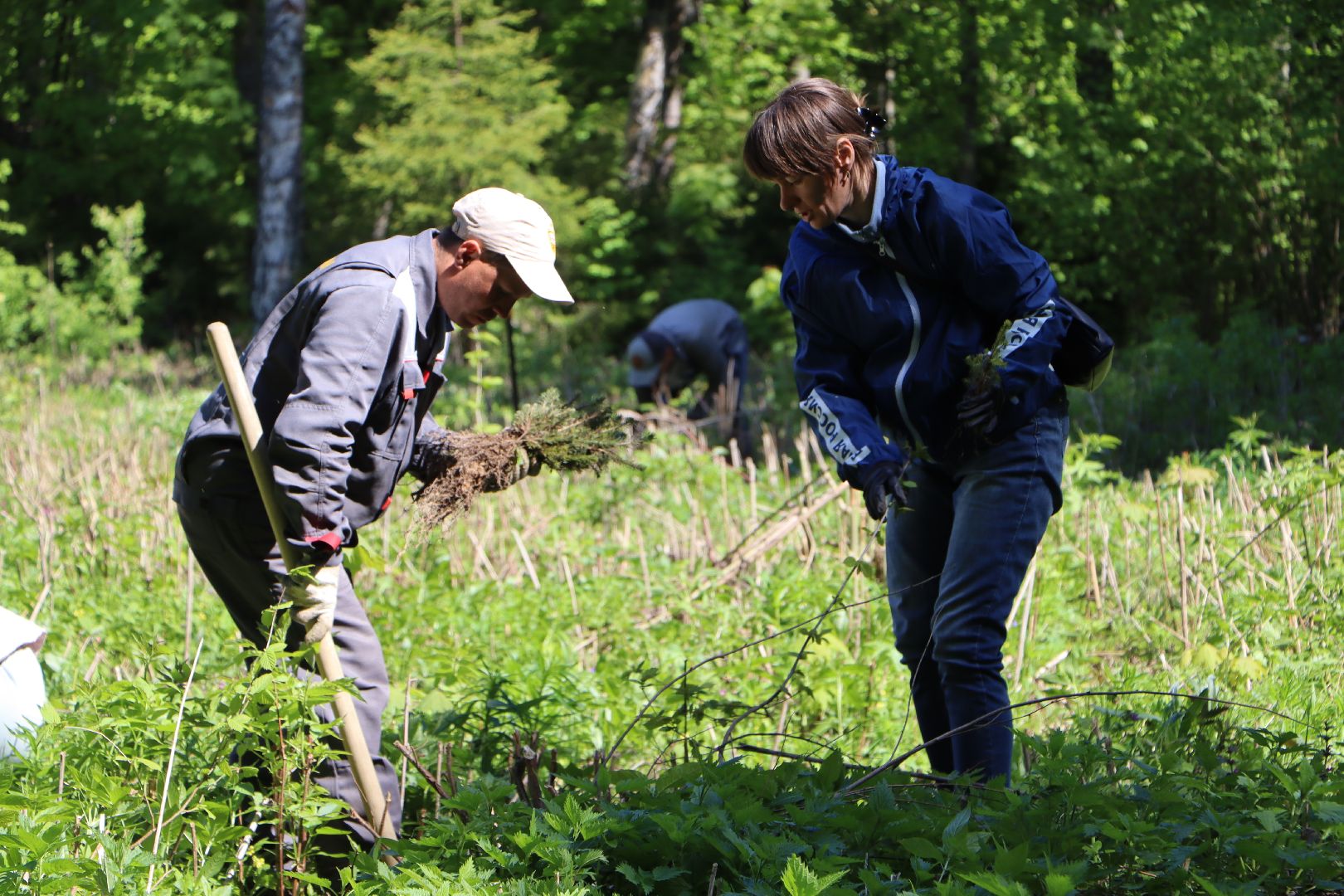 Серебряные Пруды, Лес Победы, акция