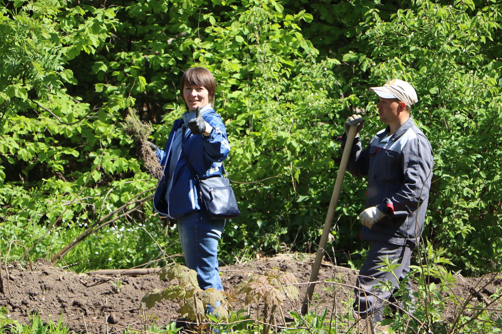 Серебряные Пруды, Лес Победы, акция