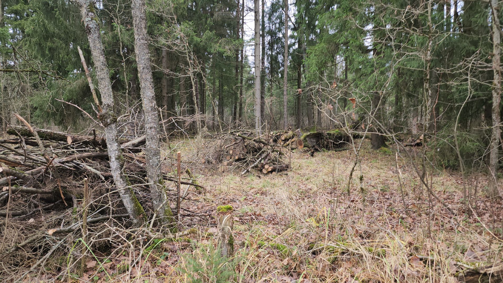 Егорьевск, Подмосковье, Московская область,