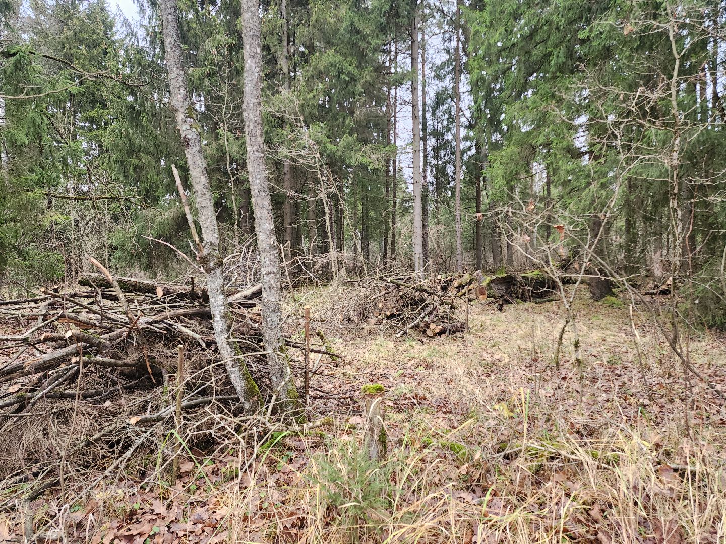 Егорьевск, Подмосковье, Московская область,