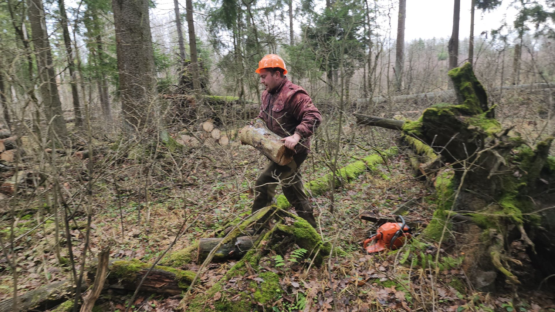 Егорьевск, Подмосковье, Московская область,
