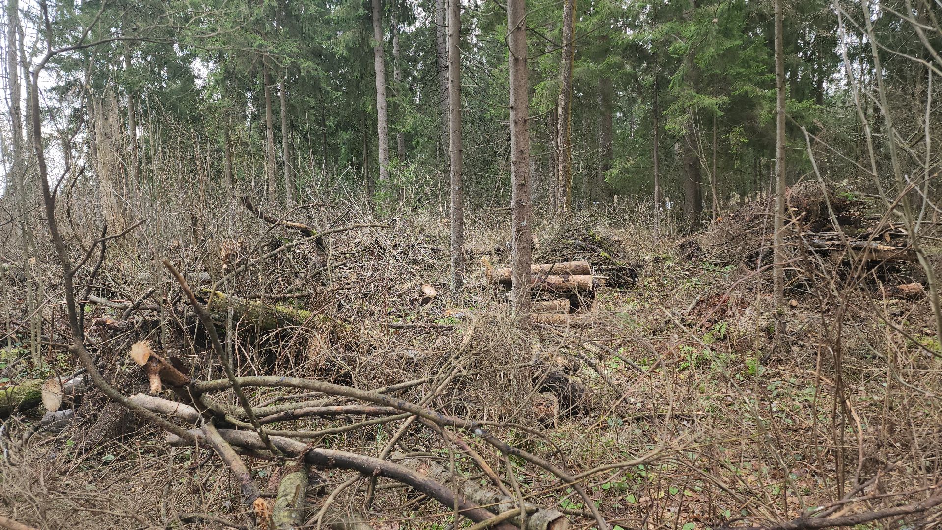 Егорьевск, Подмосковье, Московская область,