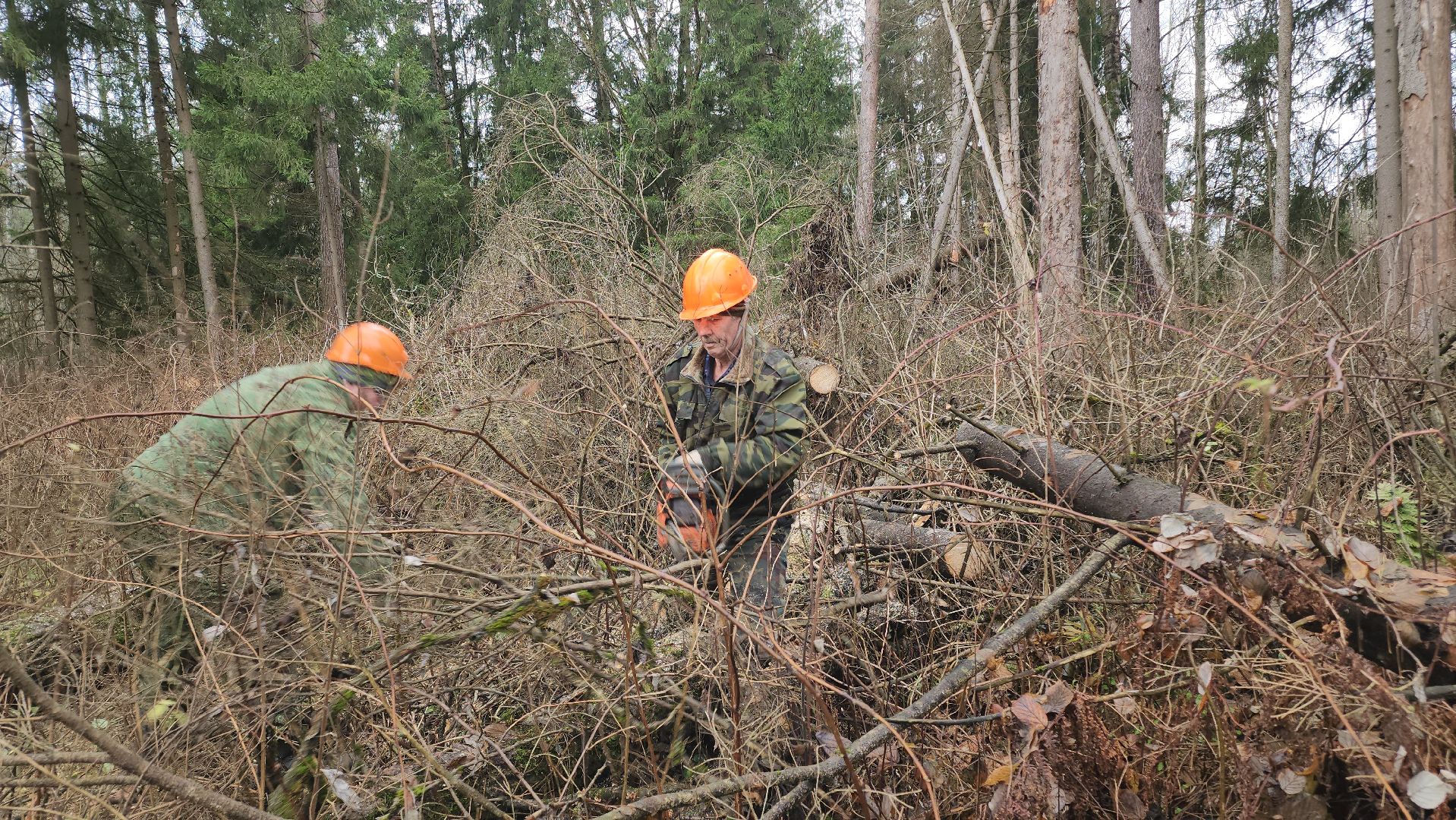 Егорьевск, Подмосковье, Московская область,