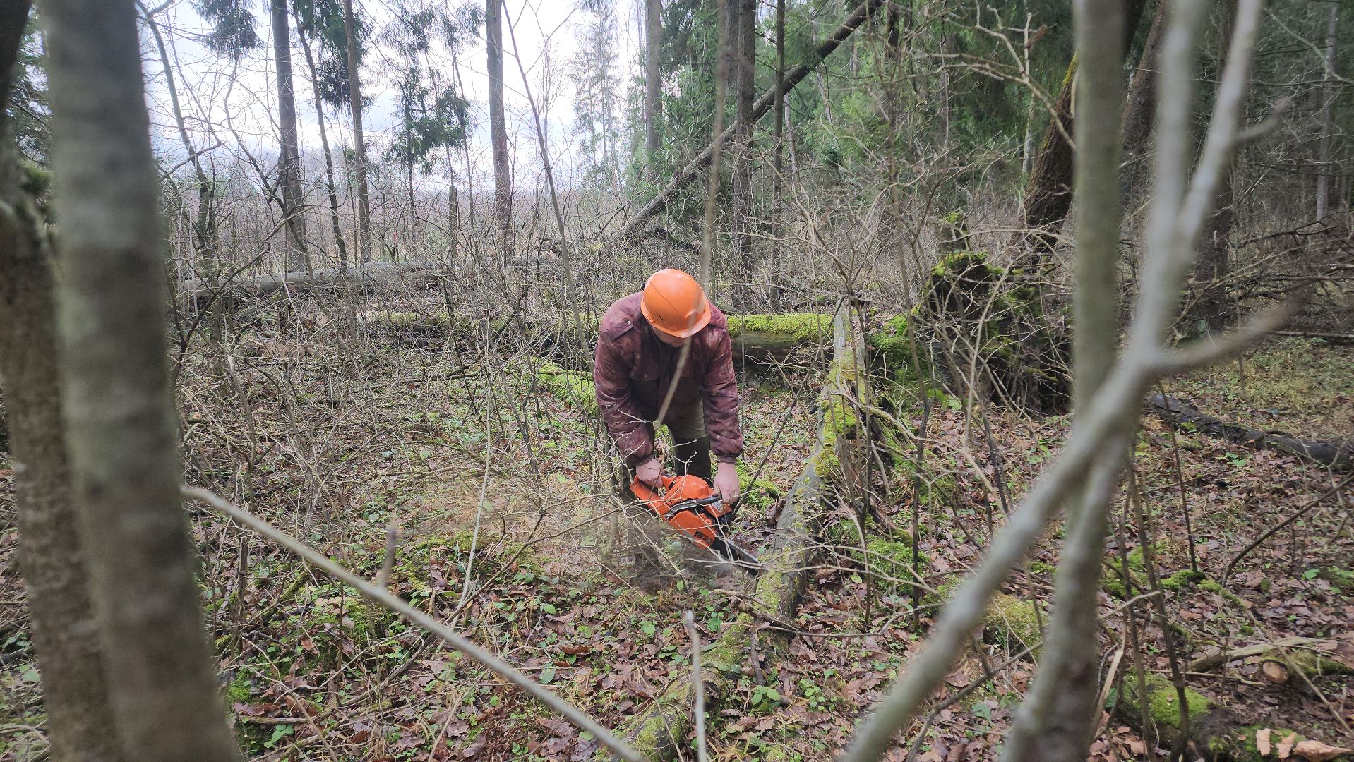 Егорьевск, Подмосковье, Московская область,