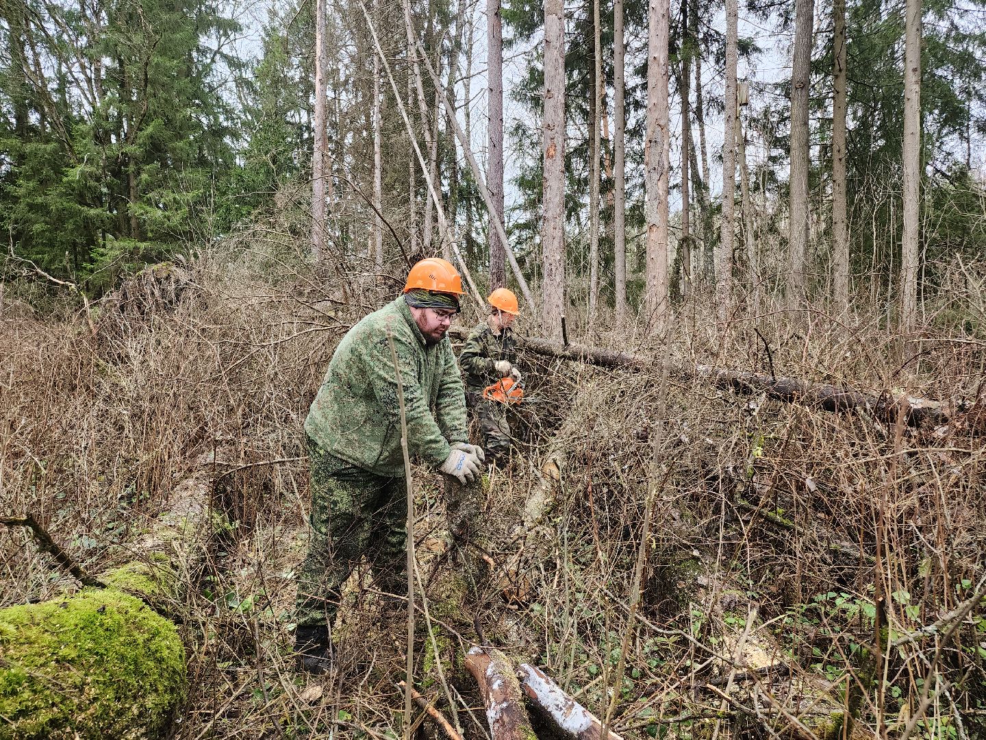 Егорьевск, Подмосковье, Московская область,