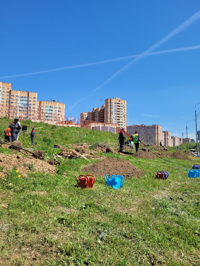 дети; день победы; акция; область ; регион
