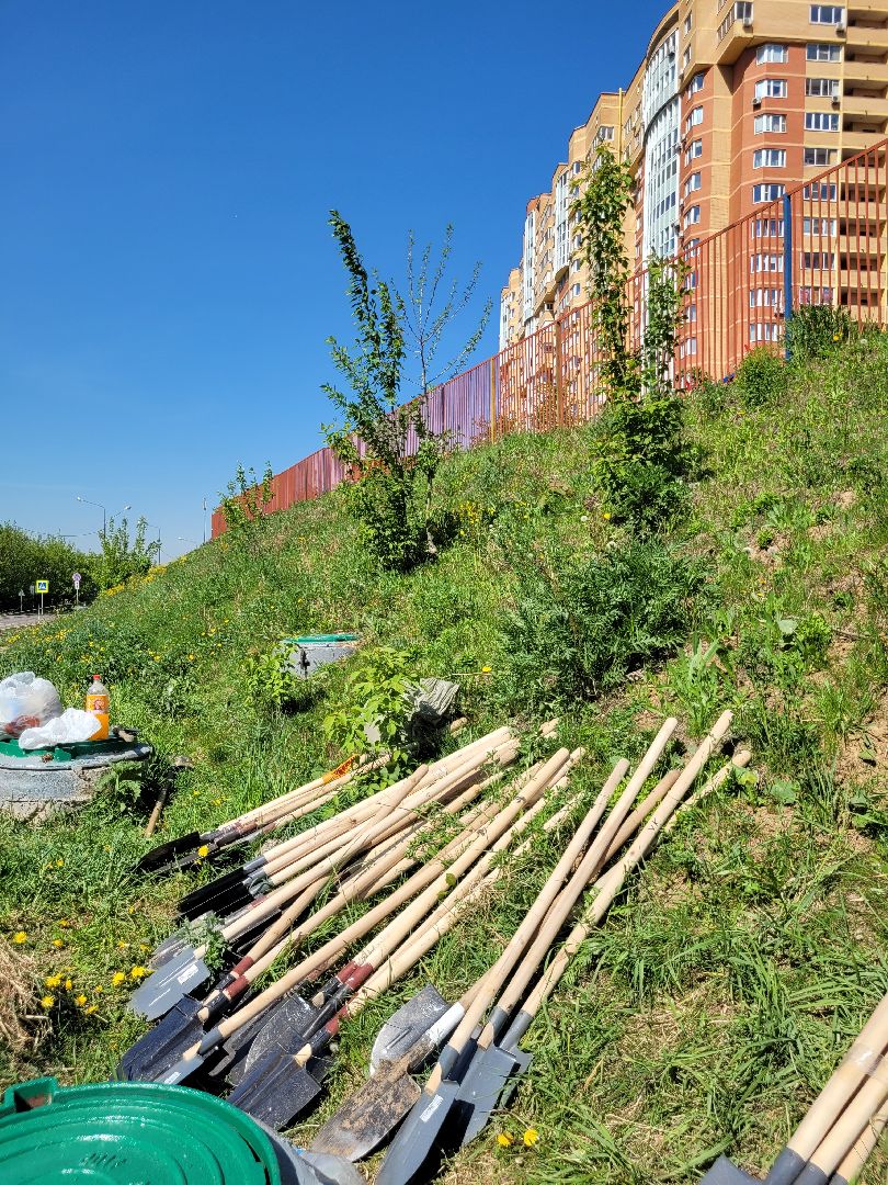 дети; день победы; акция; область ; регион