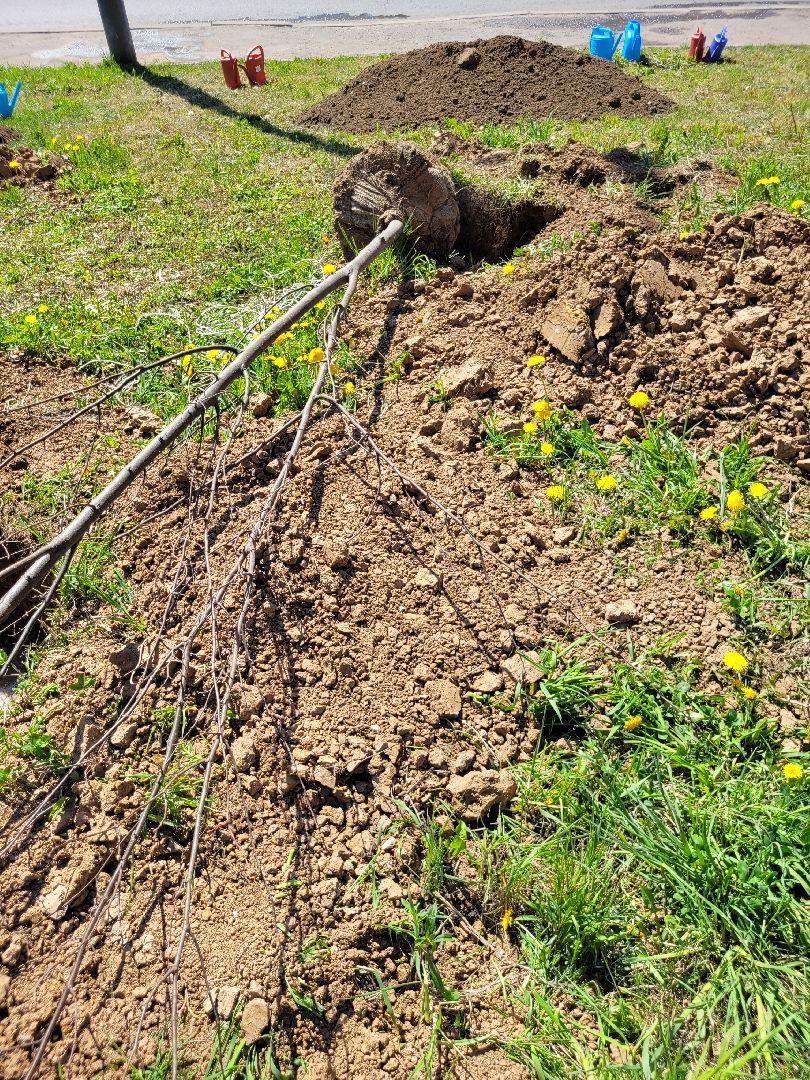 дети; день победы; акция; область ; регион