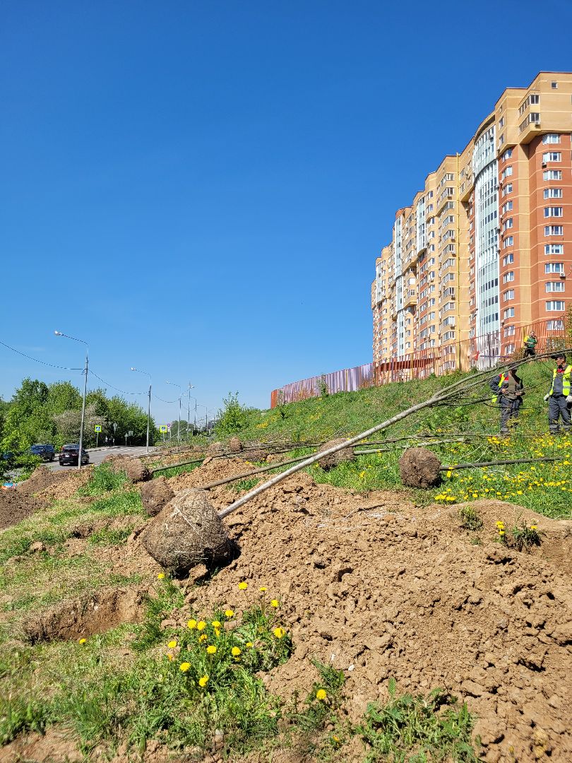 дети; день победы; акция; область ; регион