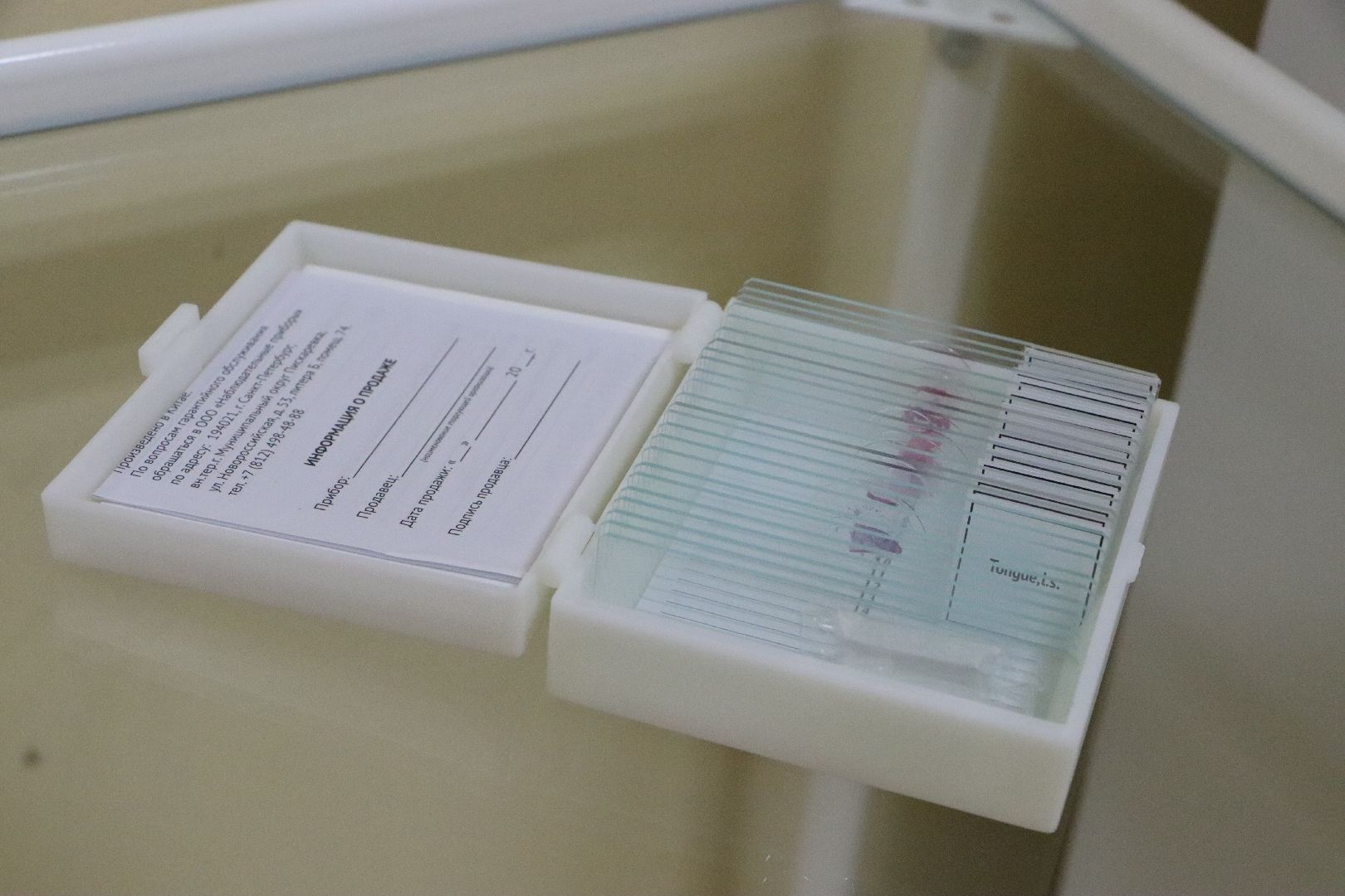 серебряные пруды, образосание, суз, могок,