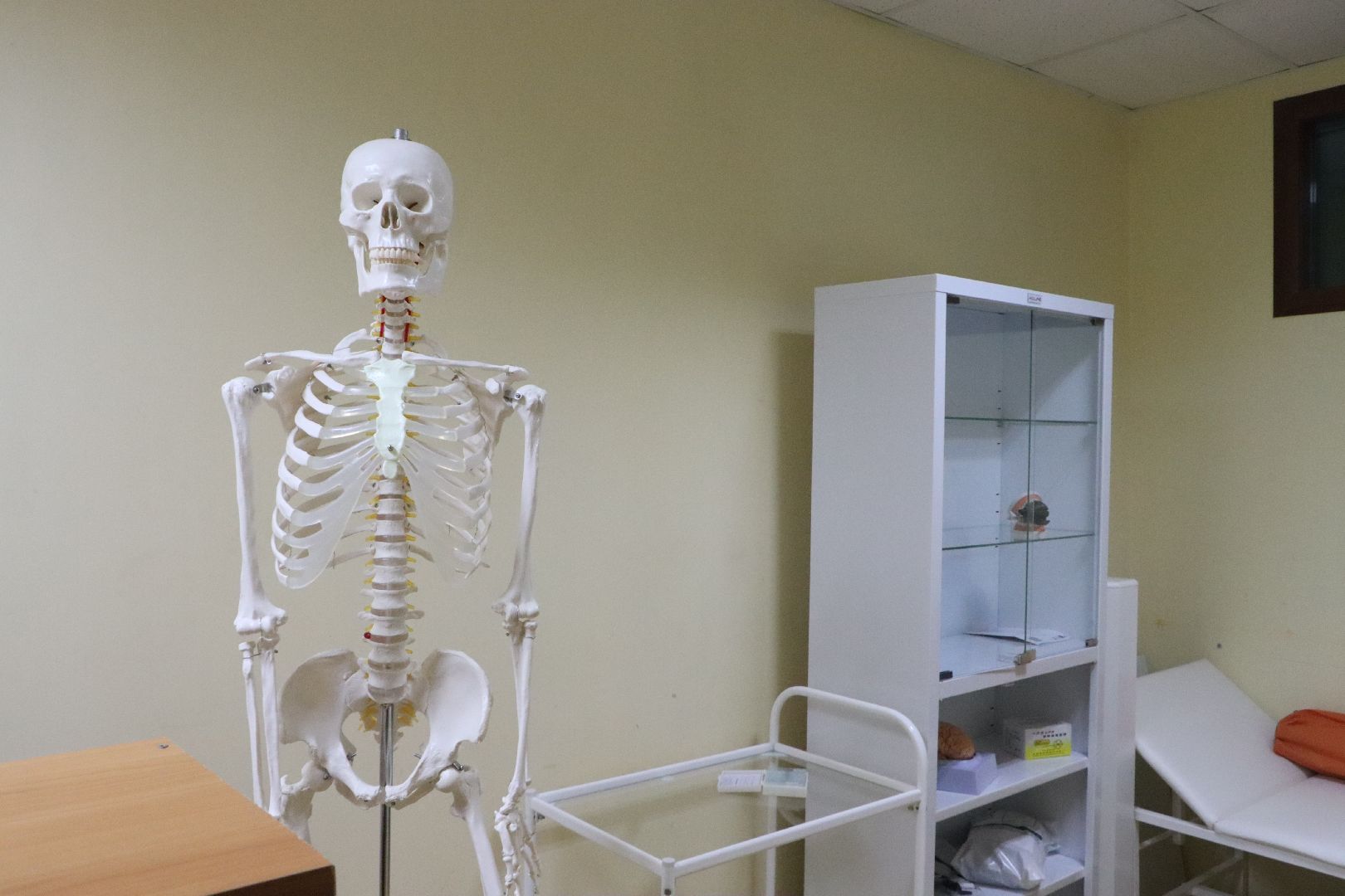 серебряные пруды, образосание, суз, могок,