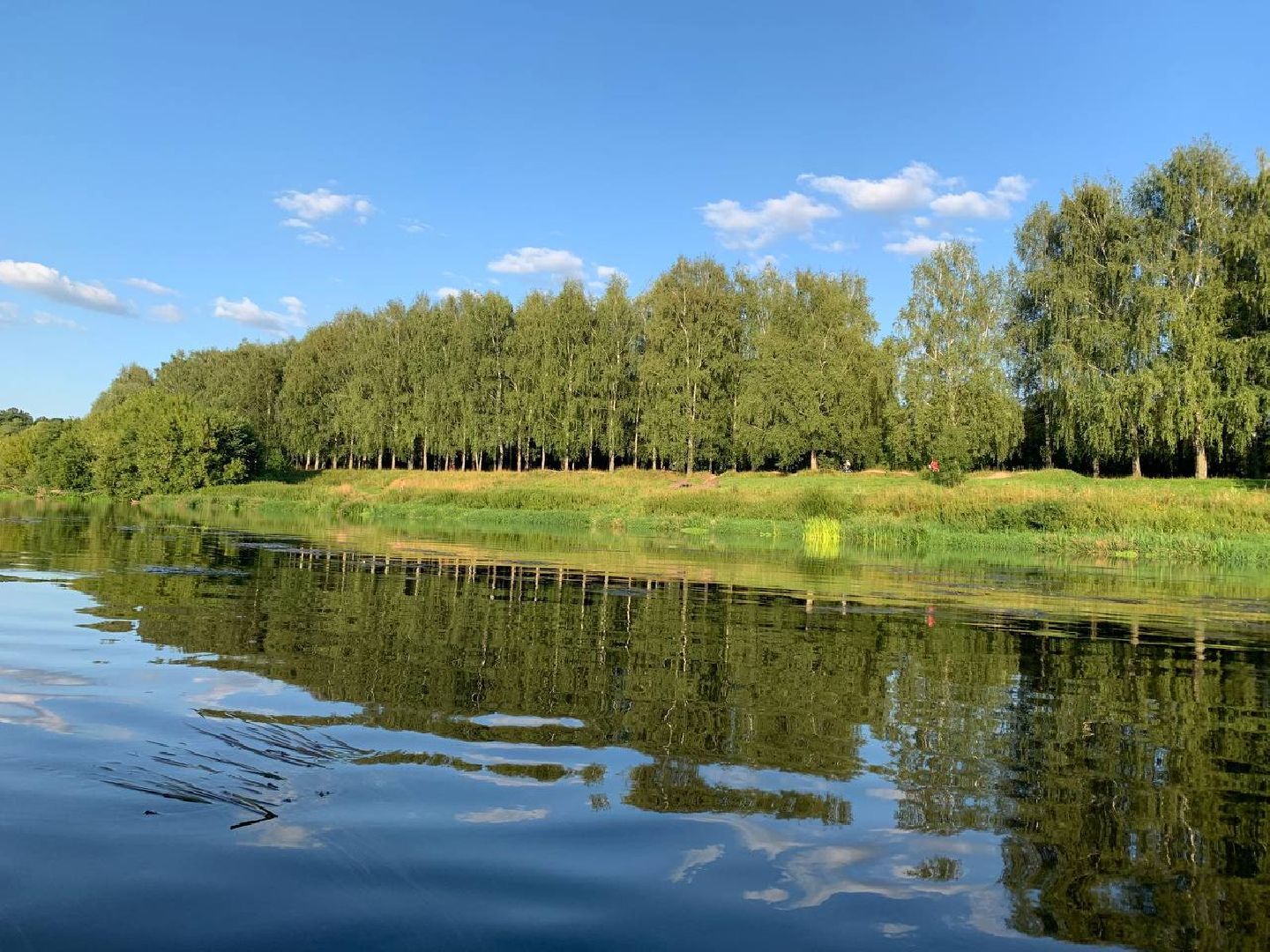 Спорт, Увлечения , Дополнительное образование , Чемпионат мира по сапсерфингу , Водные виды спорта ,