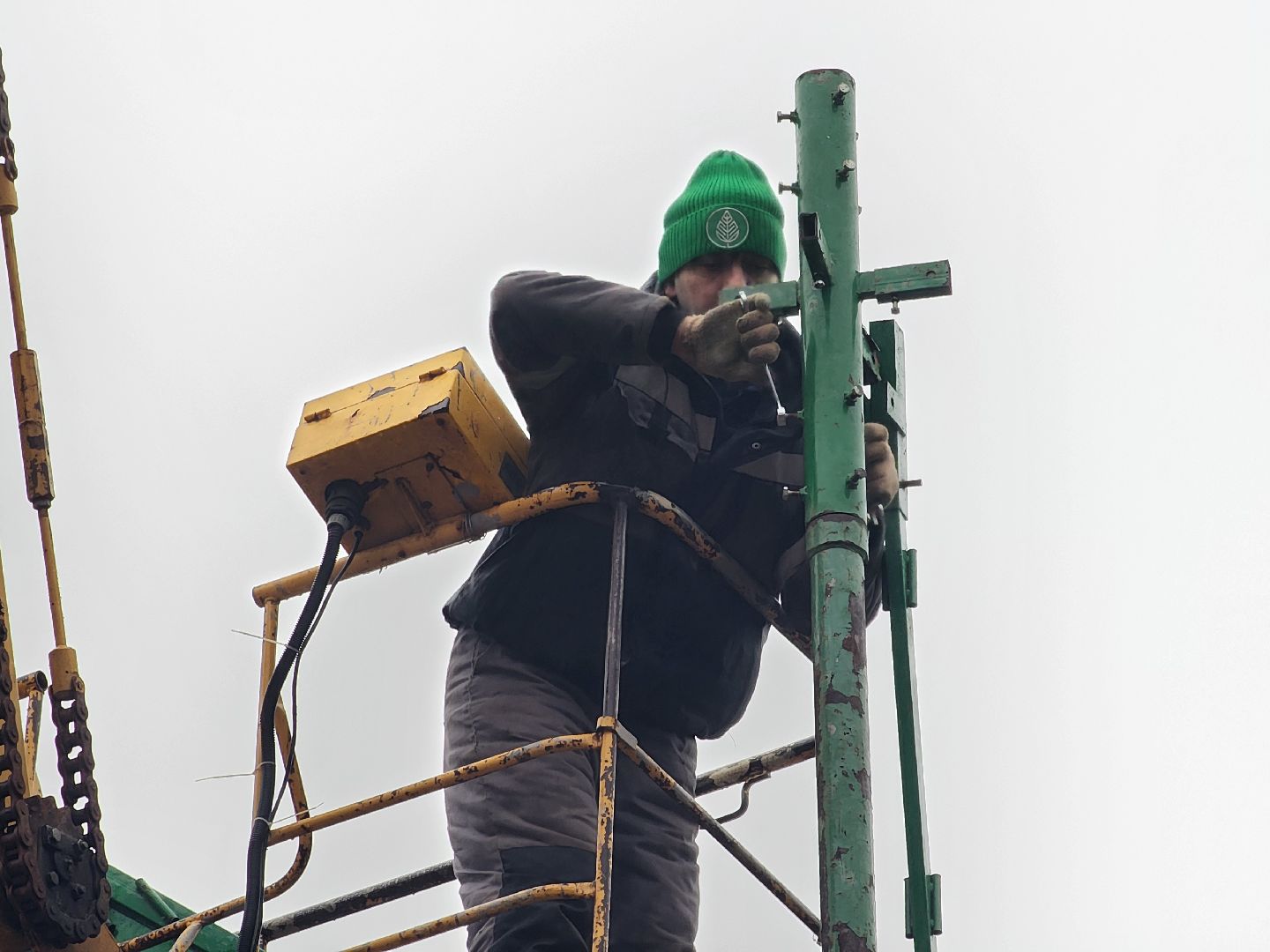 Подольск , Парк Талалихина , новогодняя ель в парке,