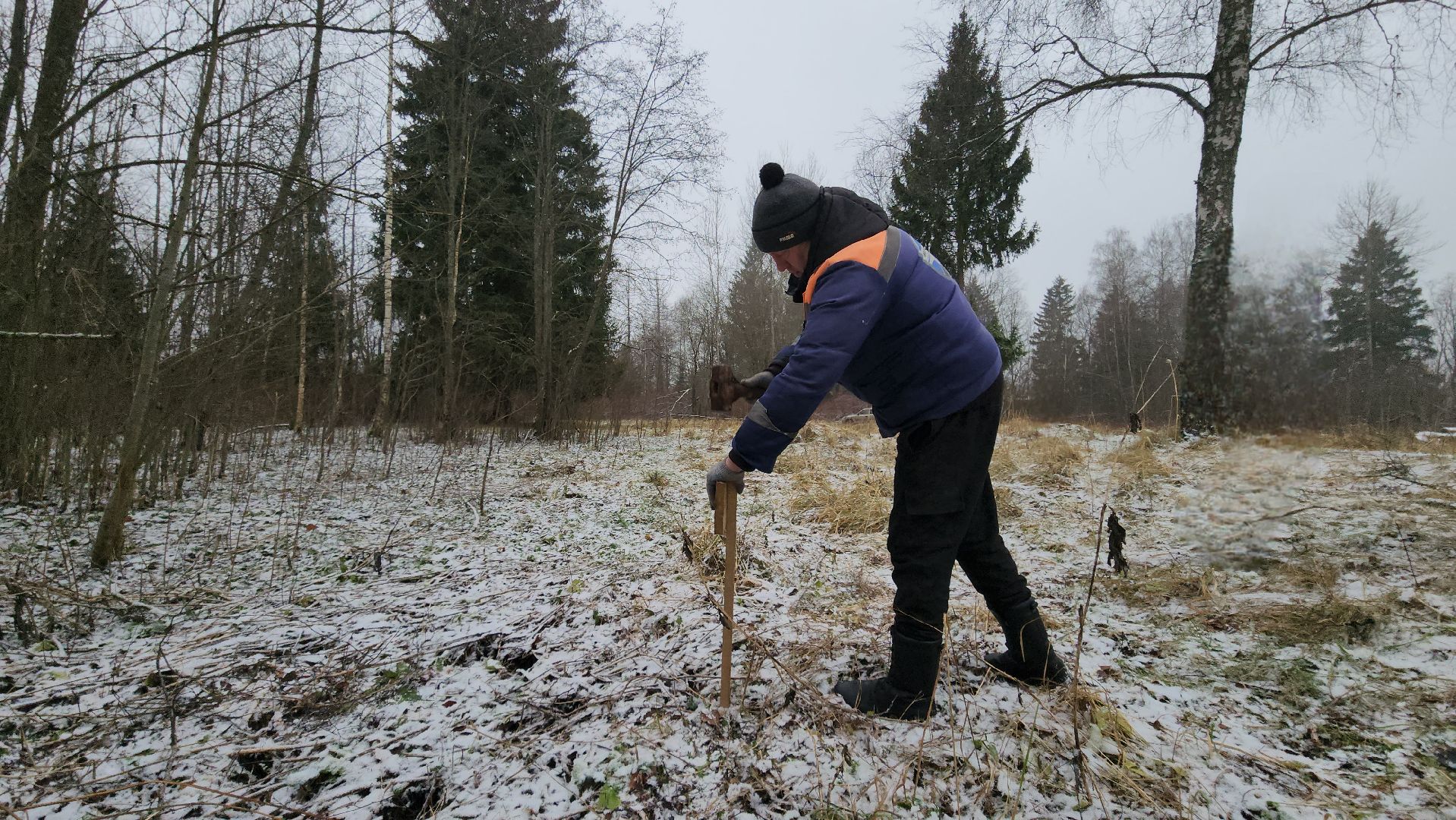 Руза, кремлевская елка, Мосавтодор,