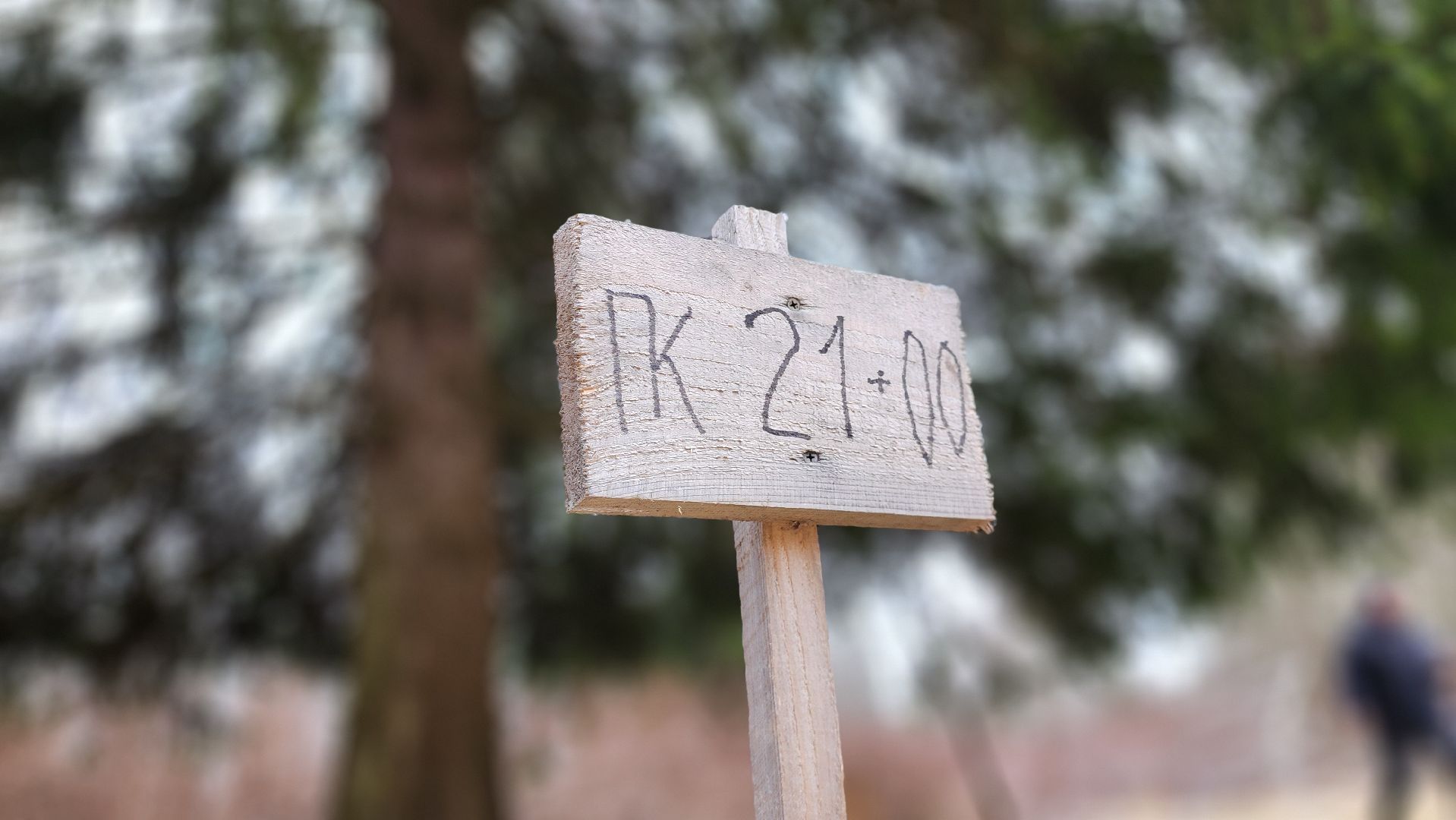 Руза, кремлевская елка, Мосавтодор,