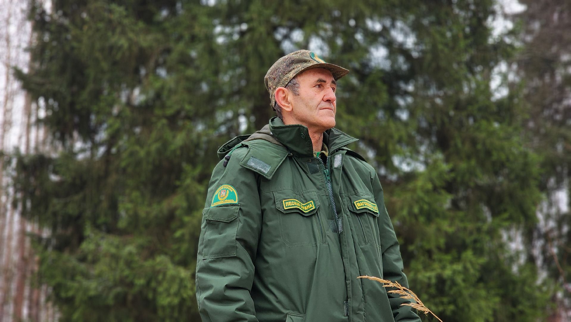 Руза, кремлевская елка, Мосавтодор,