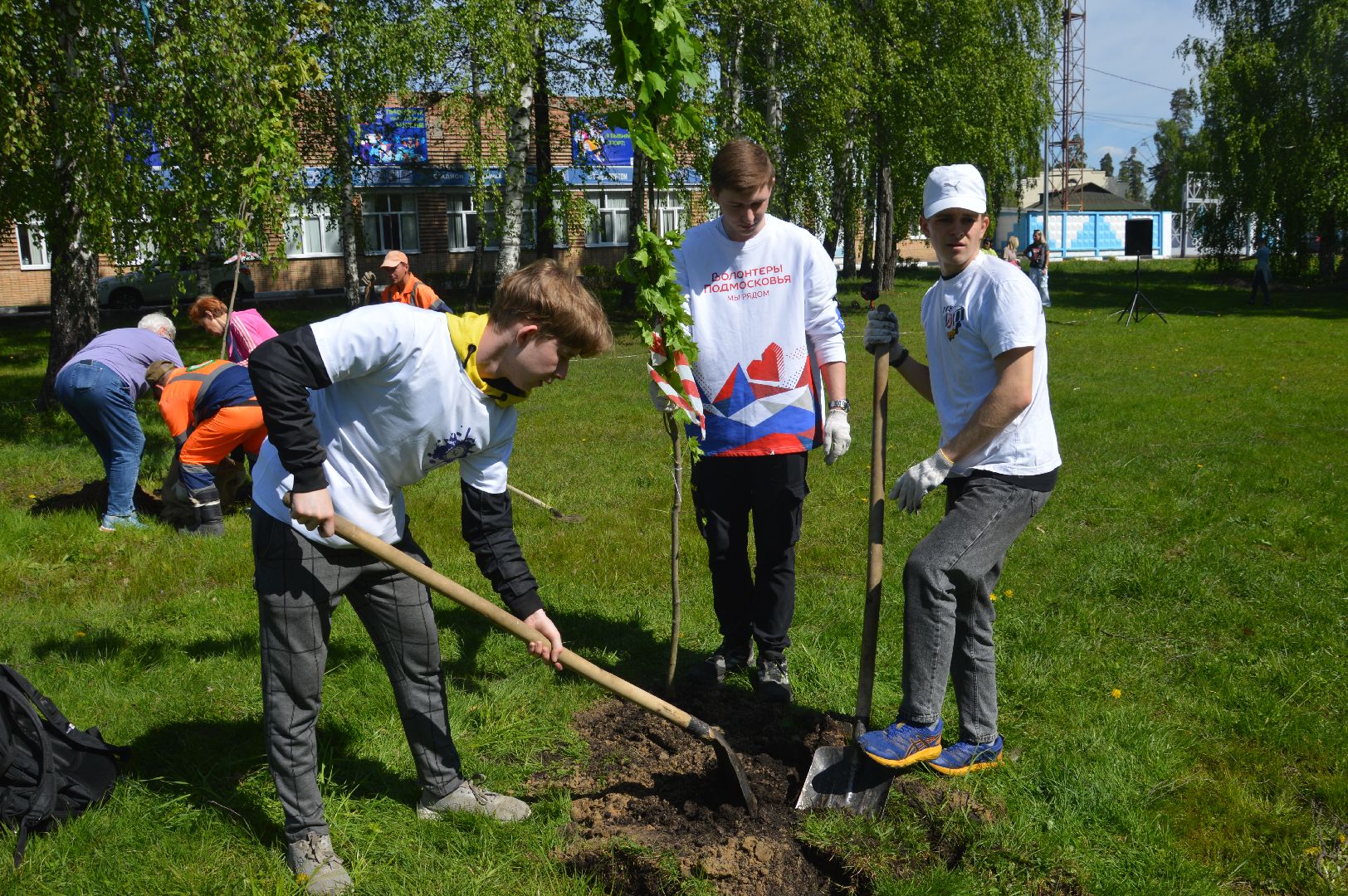 Шатура, Лес Победы, Всероссийская акция. 2369 саженцев.