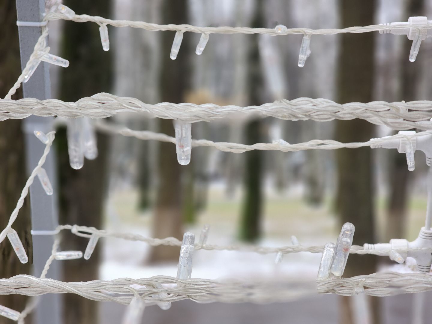 королёв, зима в подмосоковье, центральный городской парк в королеве , цдк имени калинина,