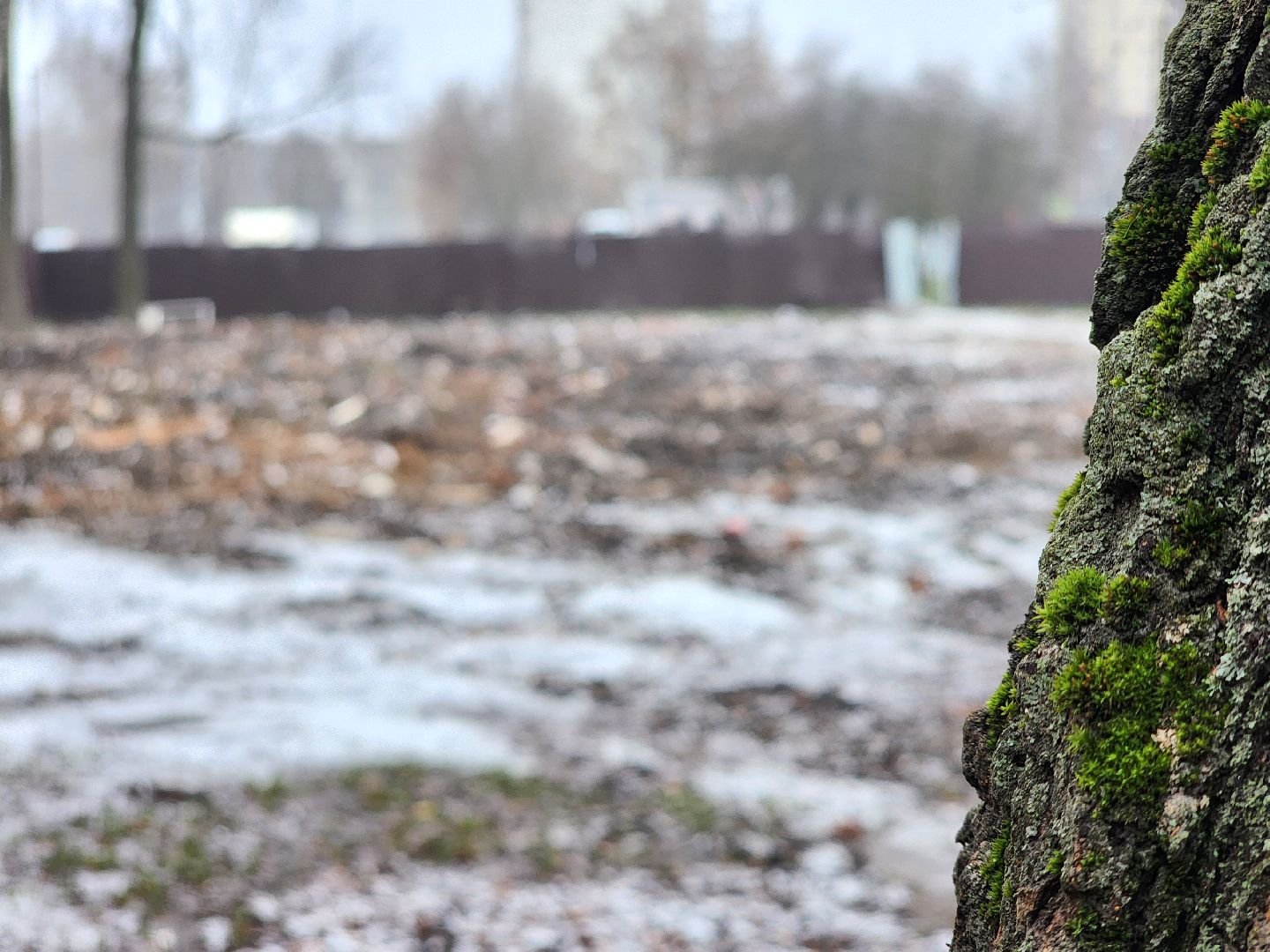 снос аварийного дома, аварийный дом, благоуйстройство, старая купавна,  богородский городской округ,