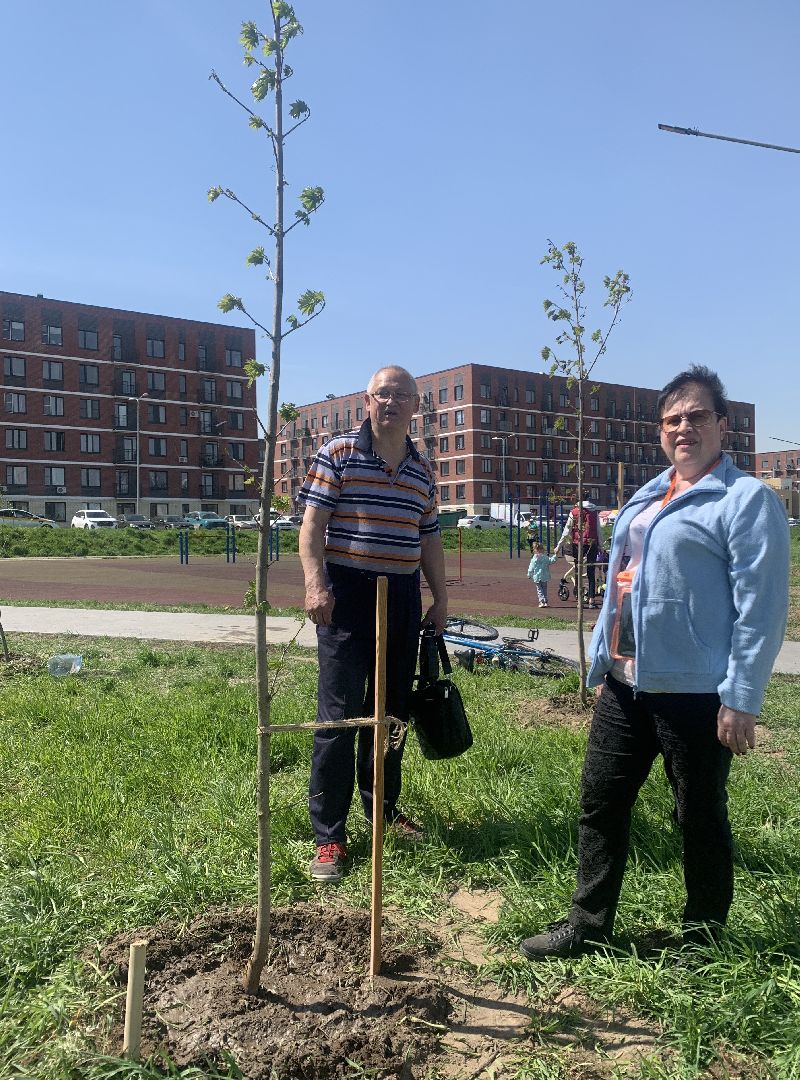 Балашиха, Подмосковье, акции, Лес Победы