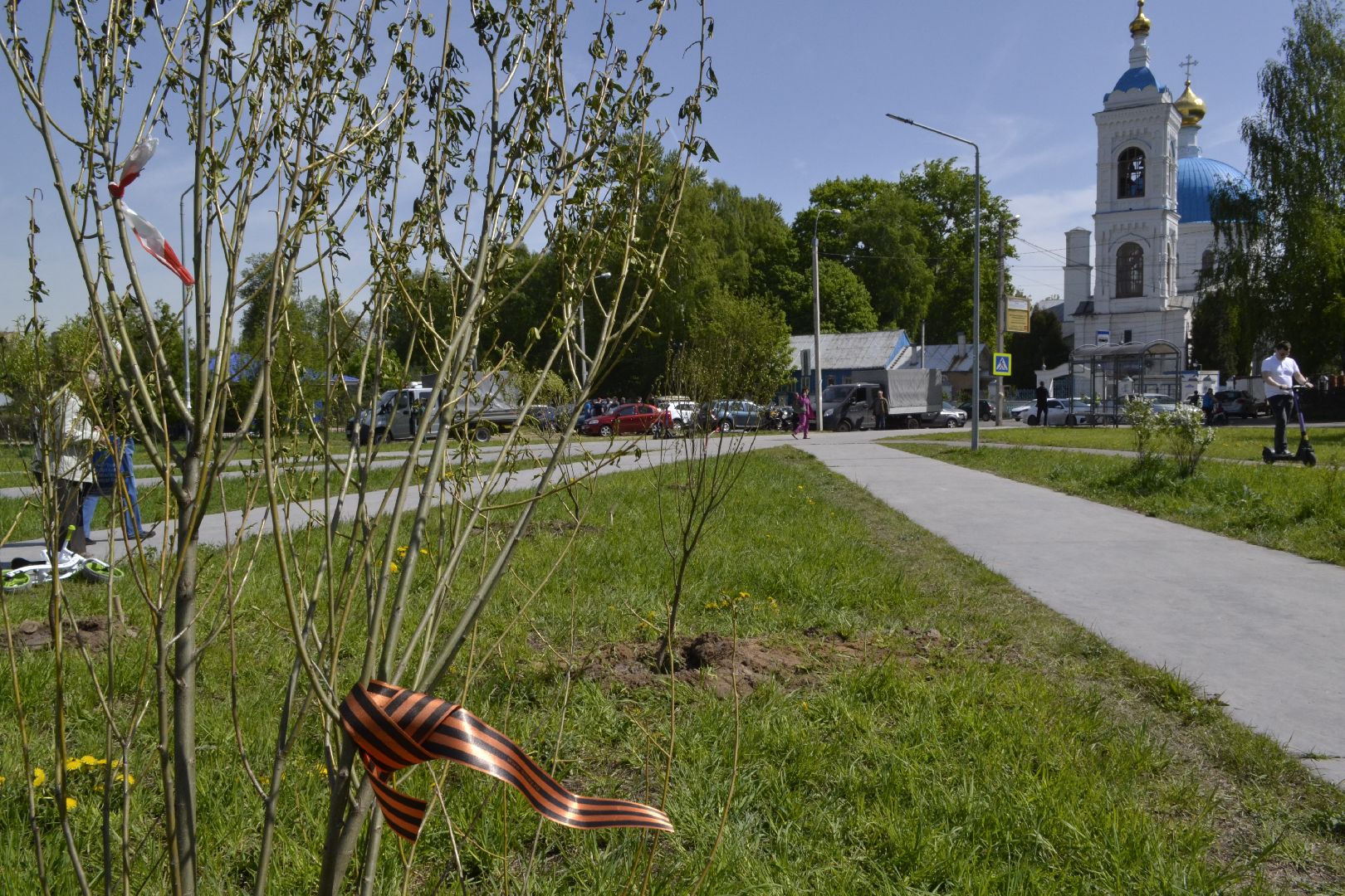 Балашиха, Подмосковье, акции, Лес Победы