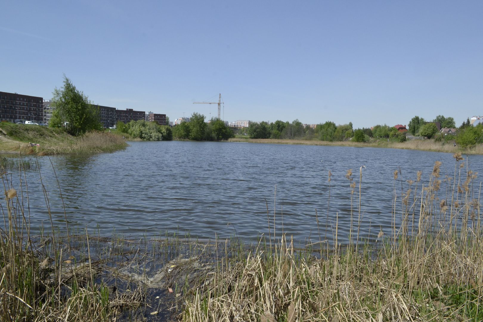 Балашиха, Подмосковье, акции, Лес Победы