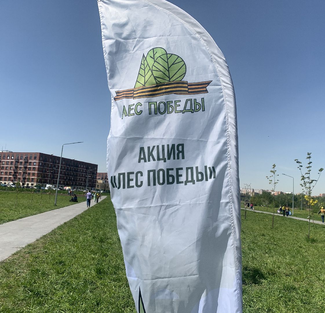 Балашиха, Подмосковье, акции, Лес Победы