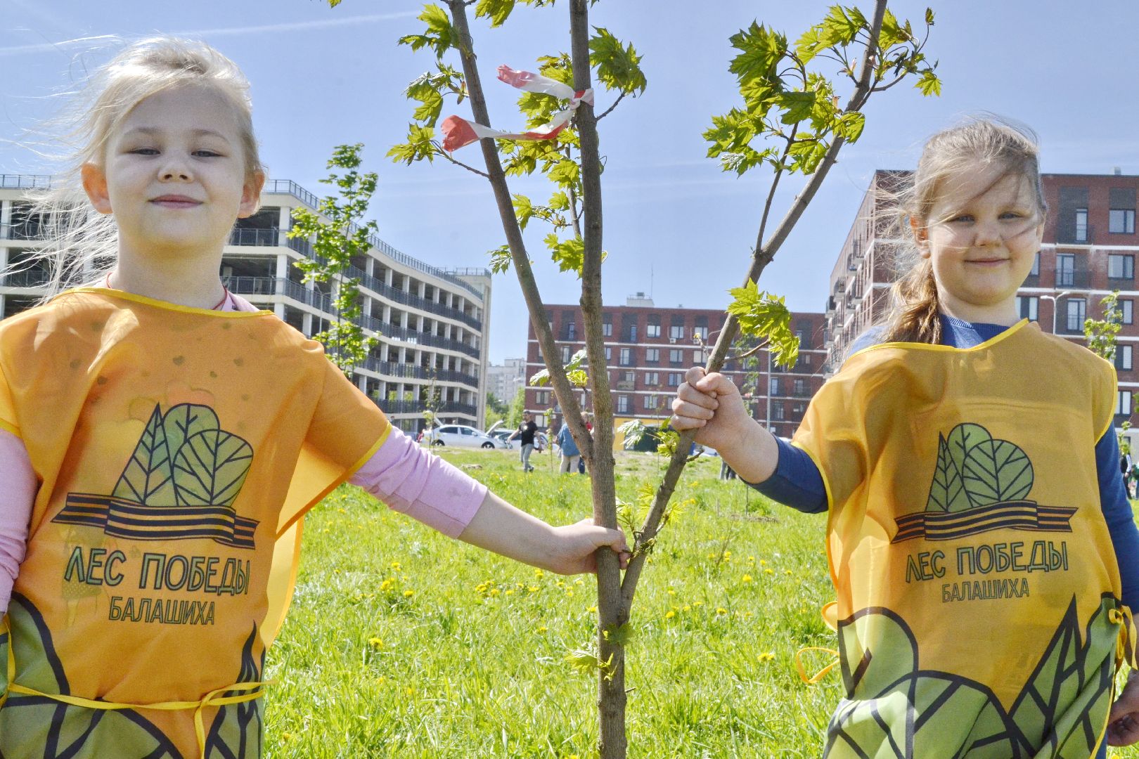 Балашиха, Подмосковье, акции, Лес Победы