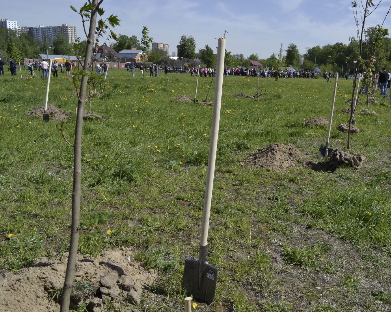 Балашиха, Подмосковье, акции, Лес Победы