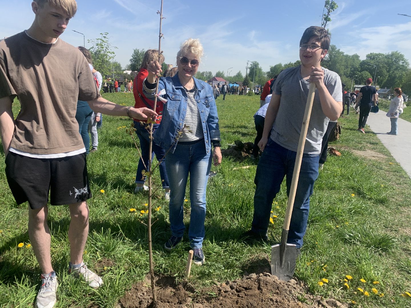 Балашиха, Подмосковье, акции, Лес Победы